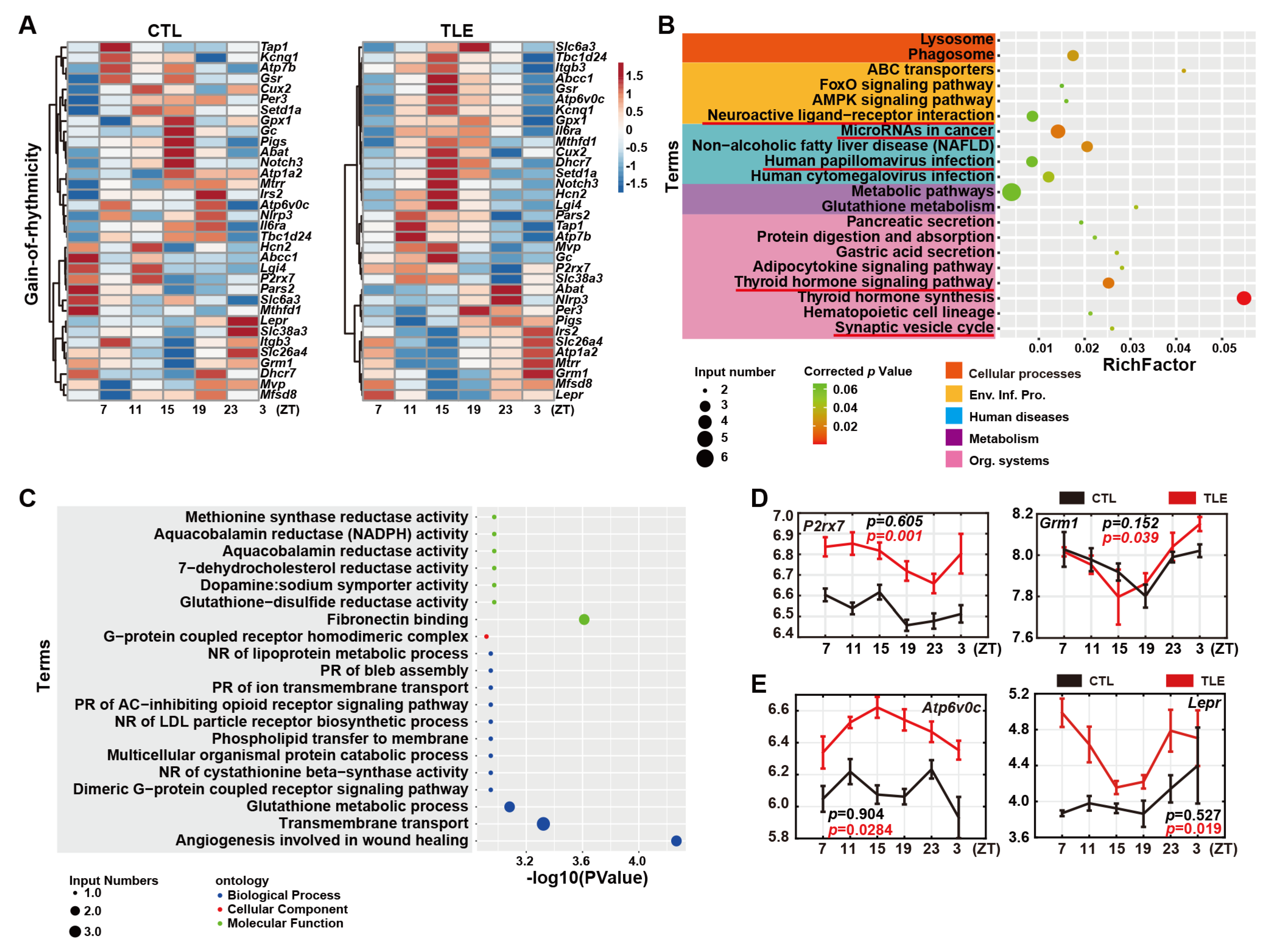 Ijms 24 06400 g003 Ijms 24 06400 g003