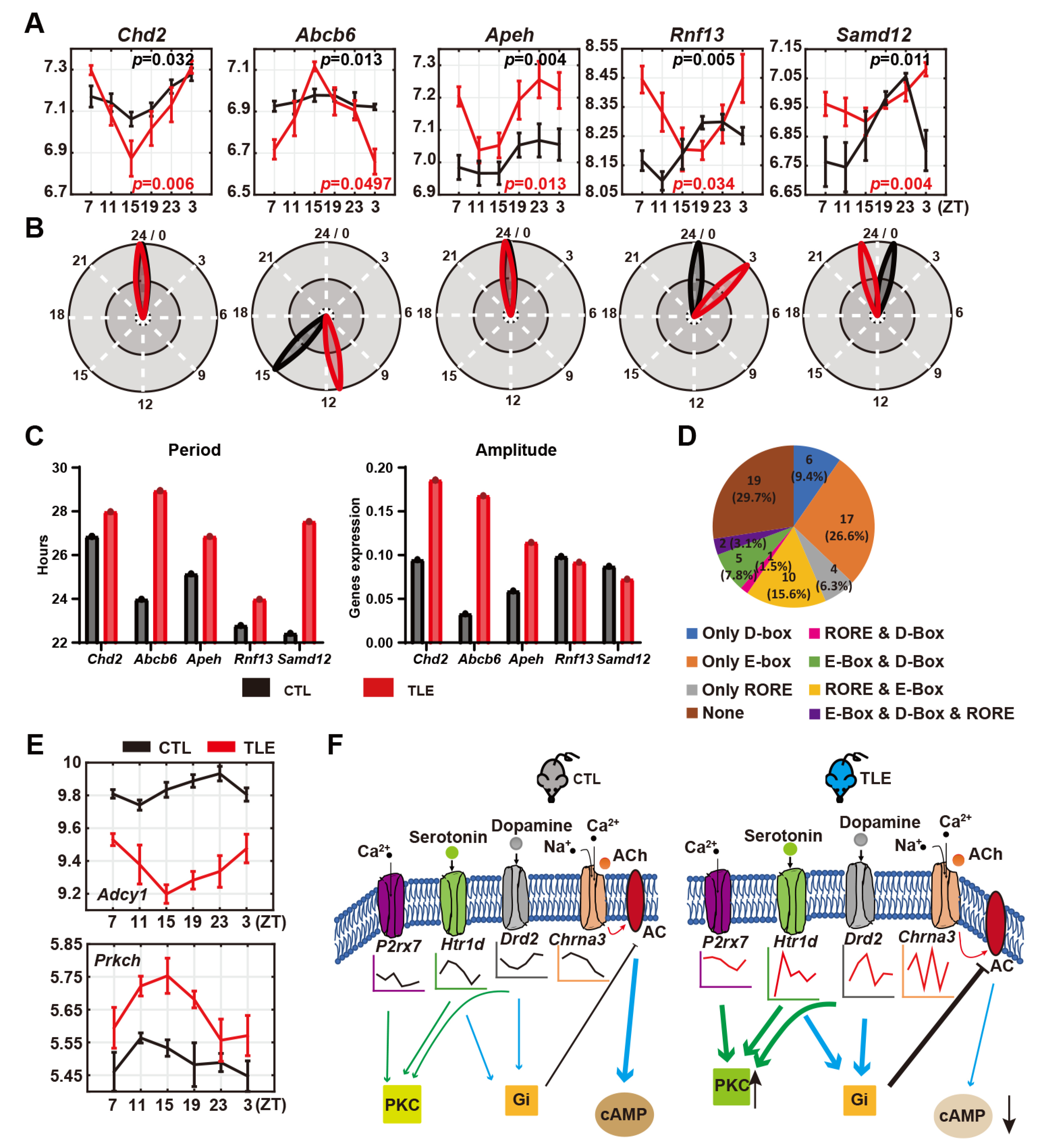 Ijms 24 06400 g004 Ijms 24 06400 g004