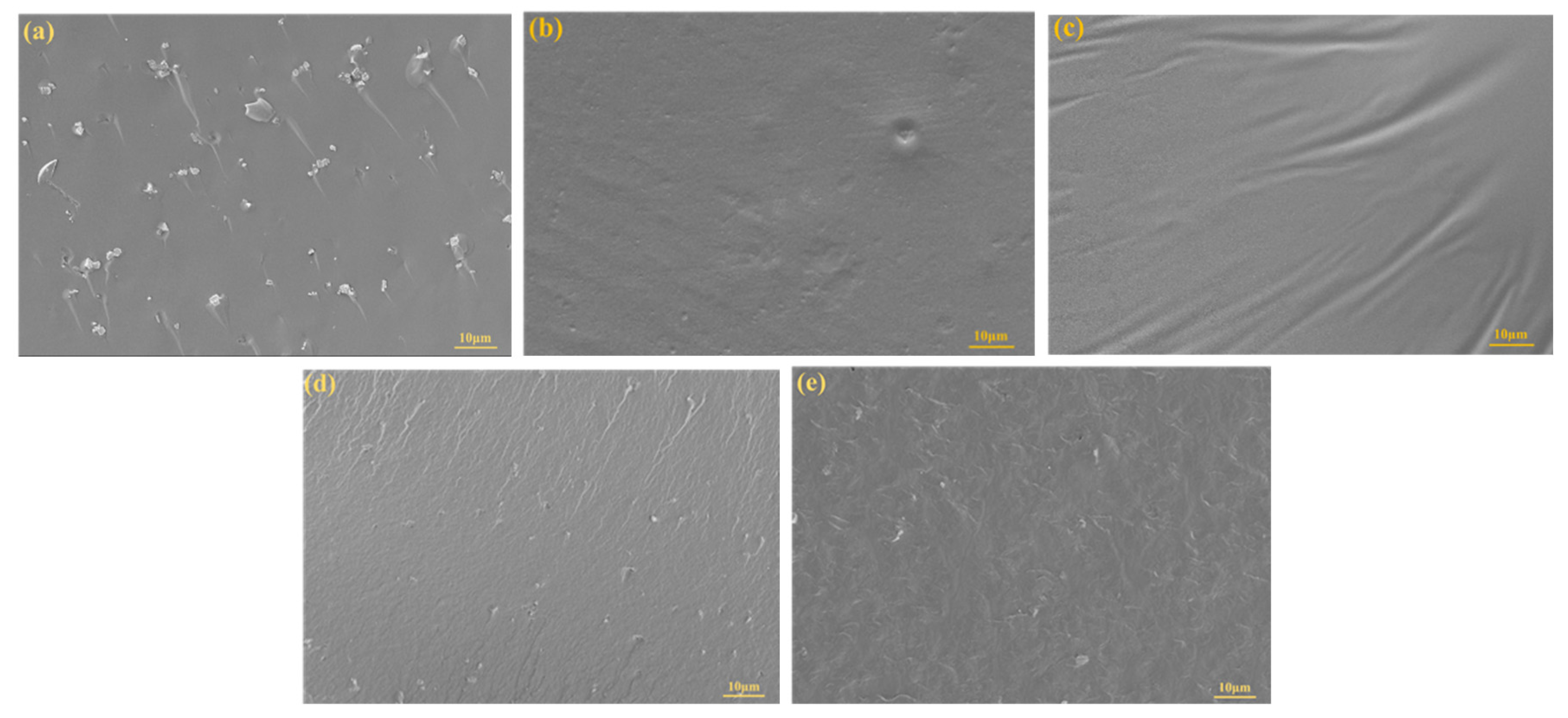 Ijms 24 06418 g007 Ijms 24 06418 g007