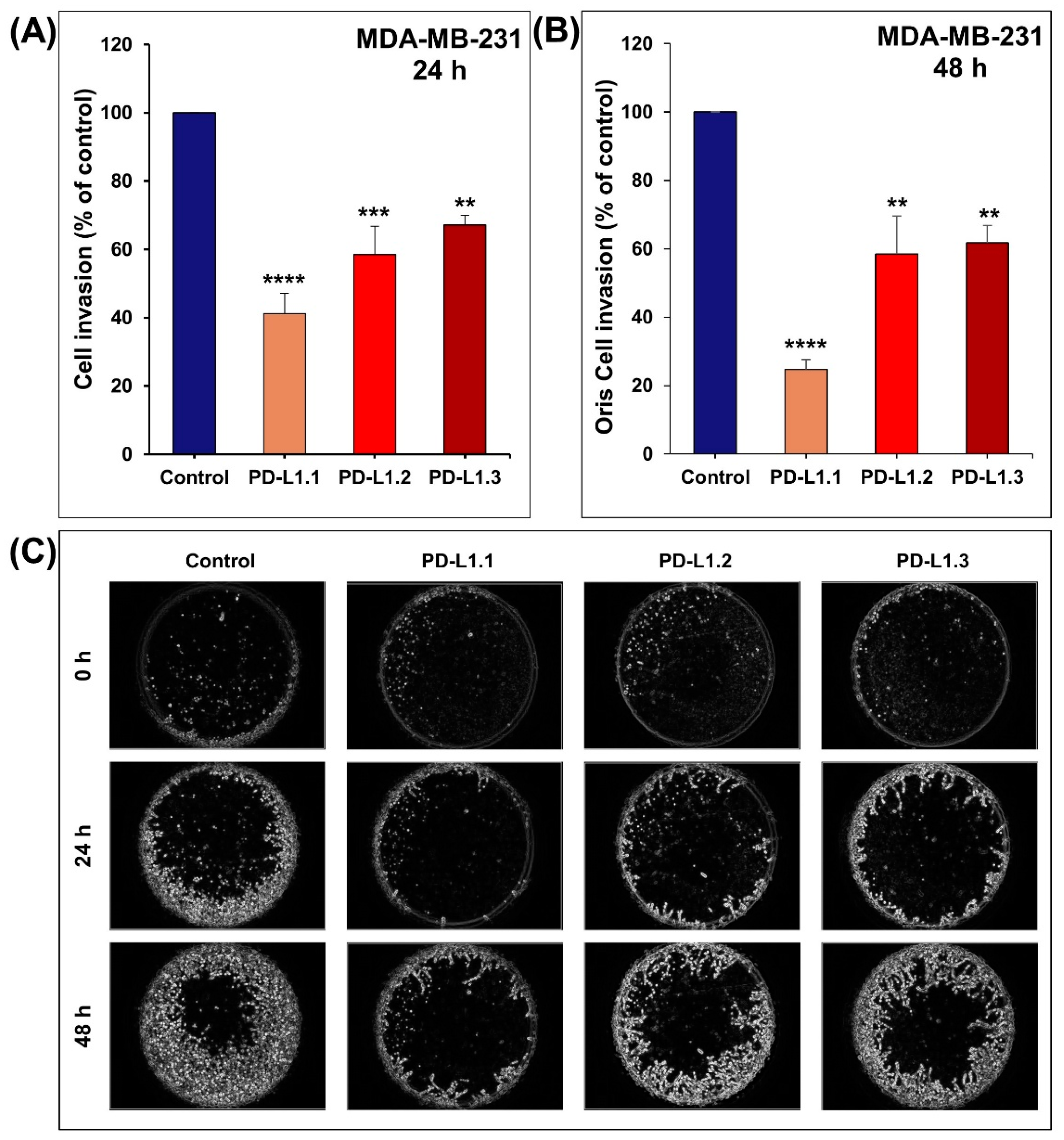 Ijms 24 06420 g005 Ijms 24 06420 g005
