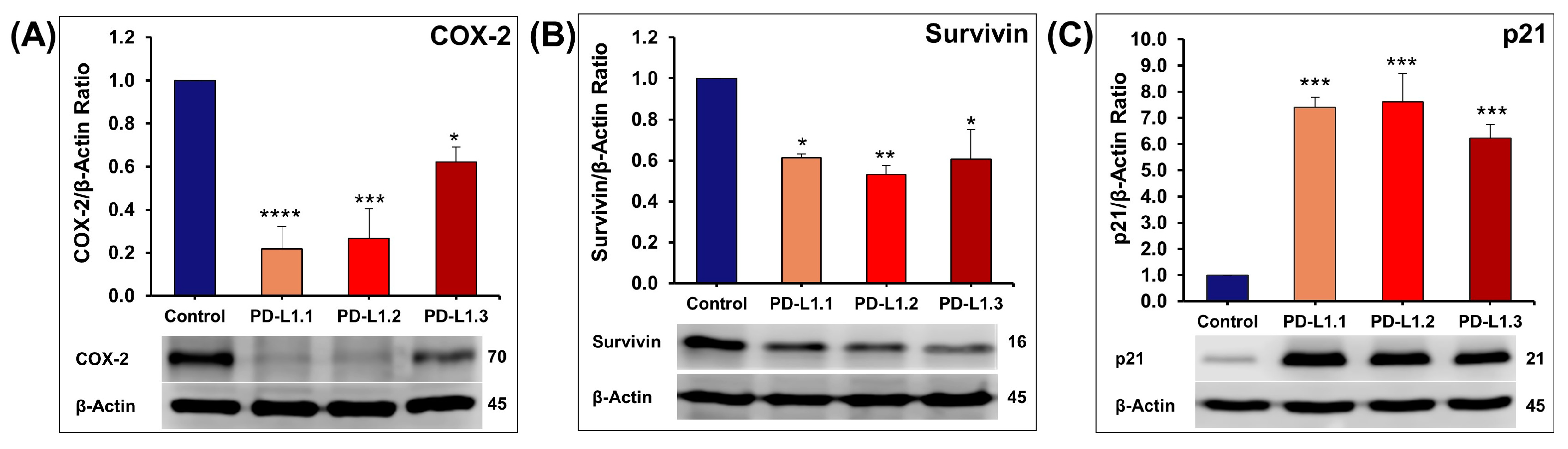 Ijms 24 06420 g008 Ijms 24 06420 g008