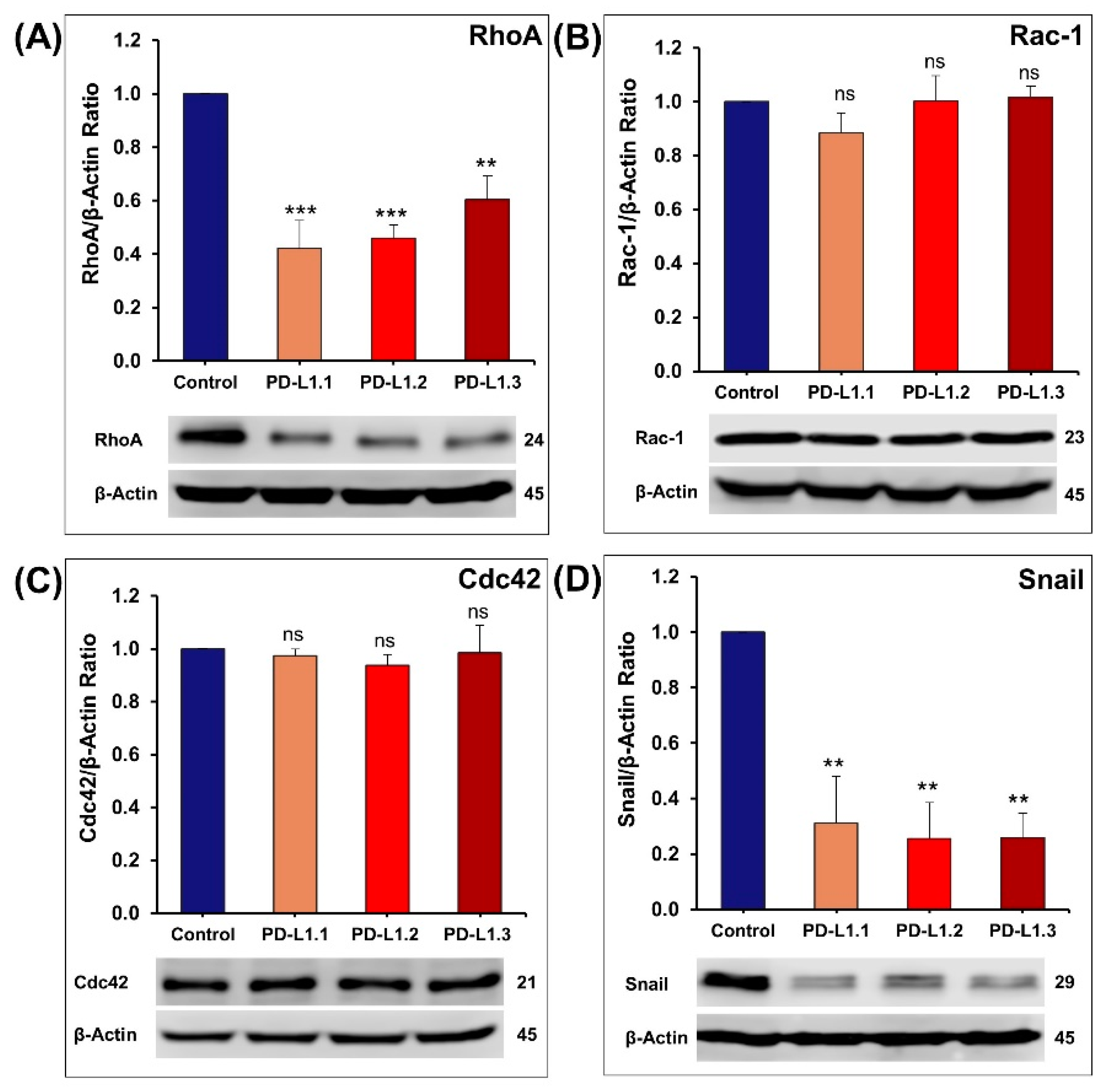 Ijms 24 06420 g009 Ijms 24 06420 g009
