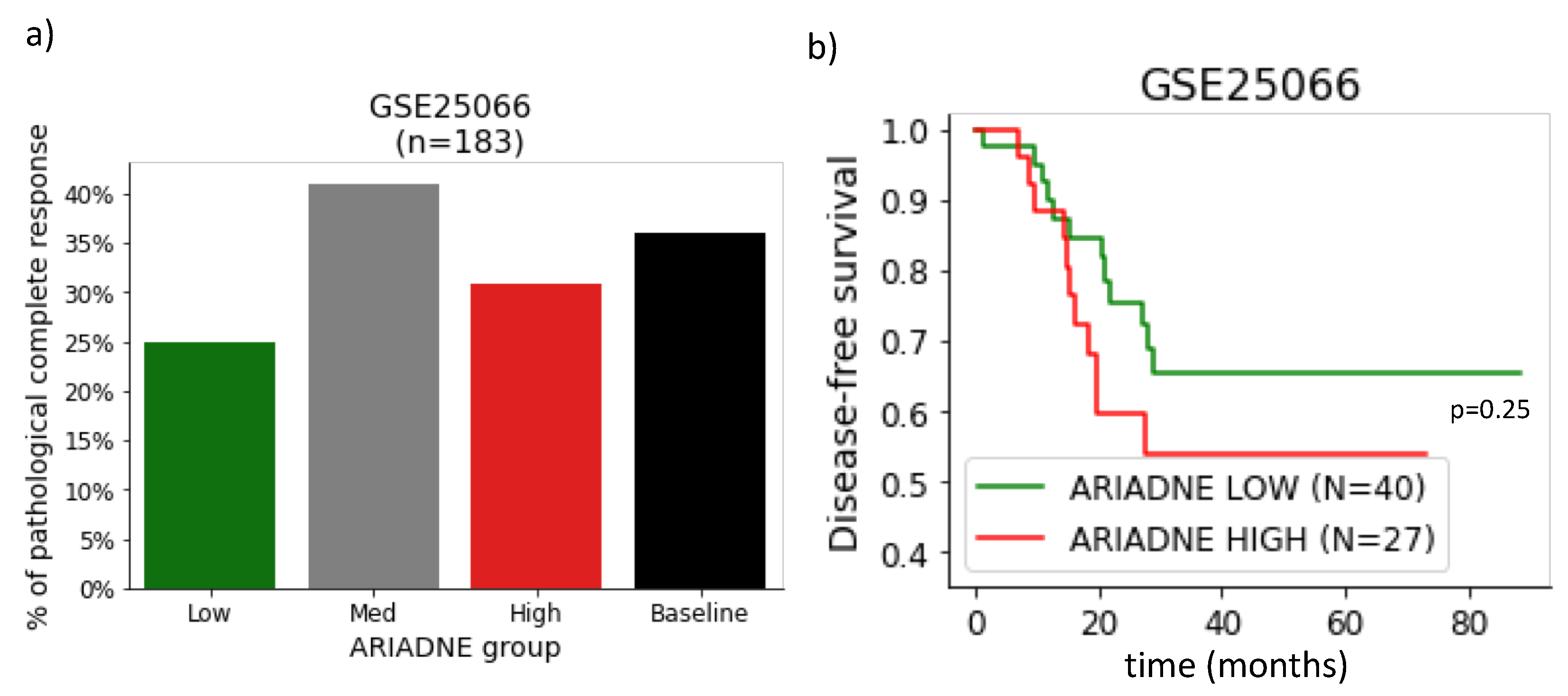 Ijms 24 06422 g002 Ijms 24 06422 g002