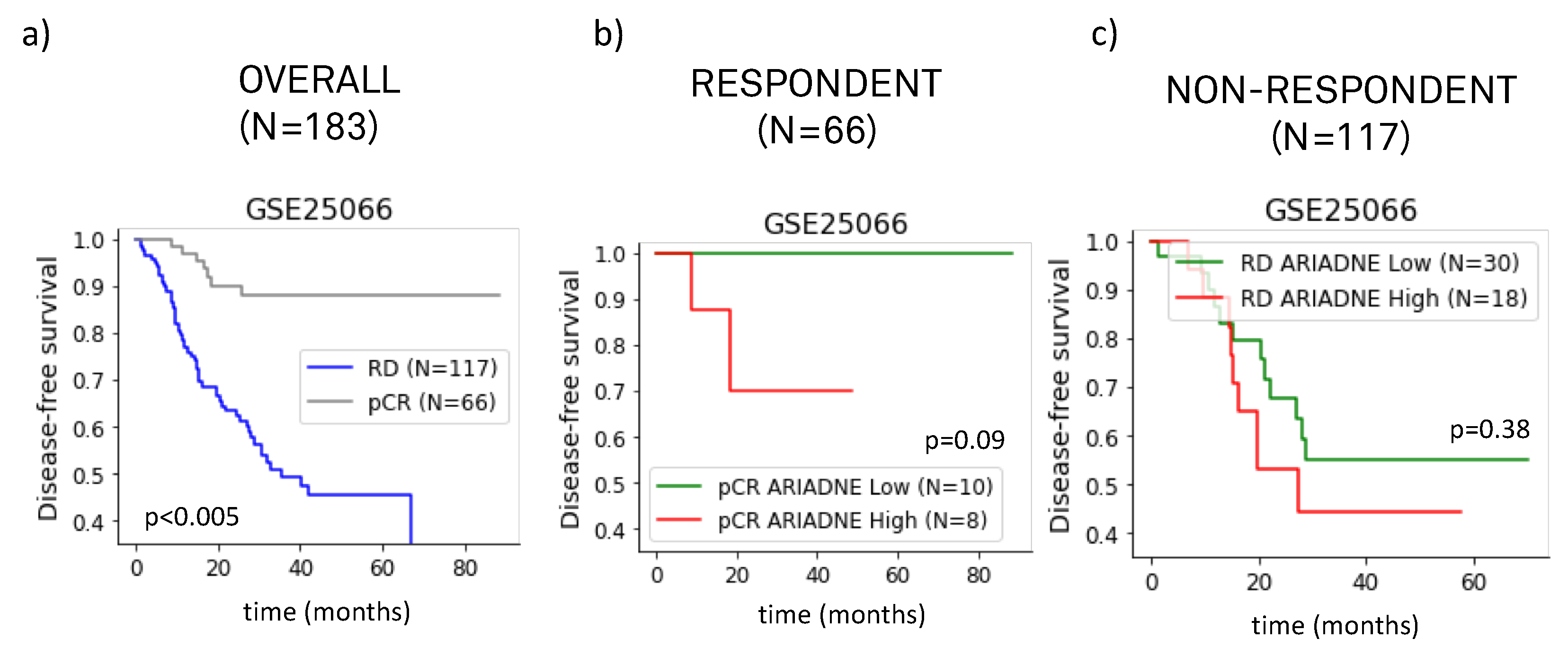 Ijms 24 06422 g003 Ijms 24 06422 g003