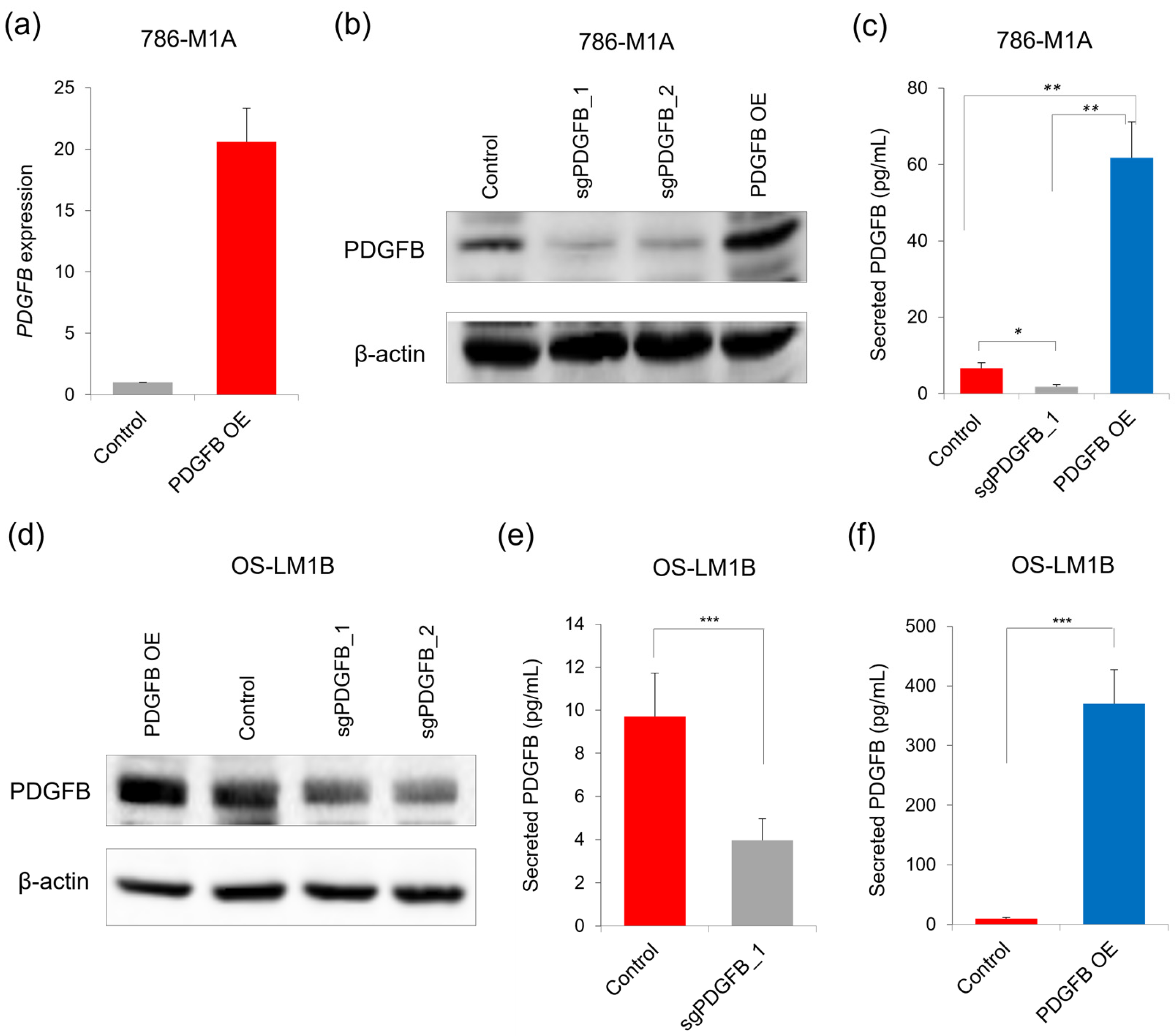 Ijms 24 06447 g002 Ijms 24 06447 g002