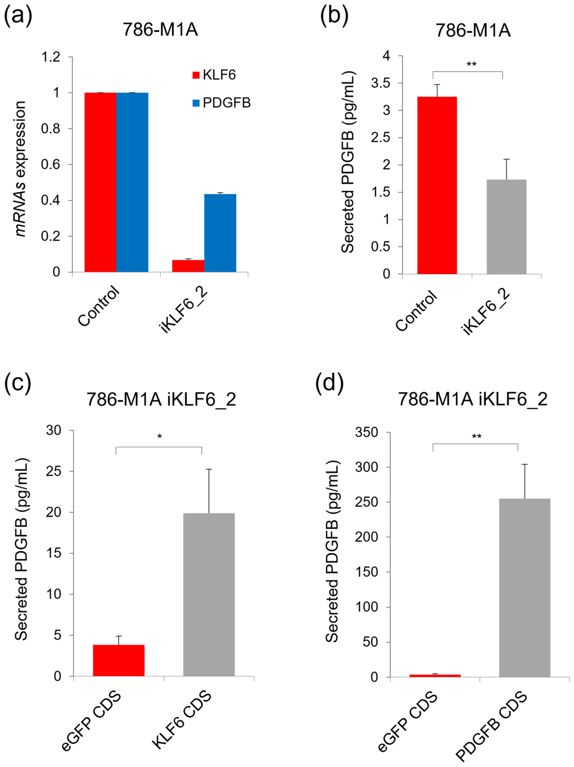 Ijms 24 06447 g003 Ijms 24 06447 g003