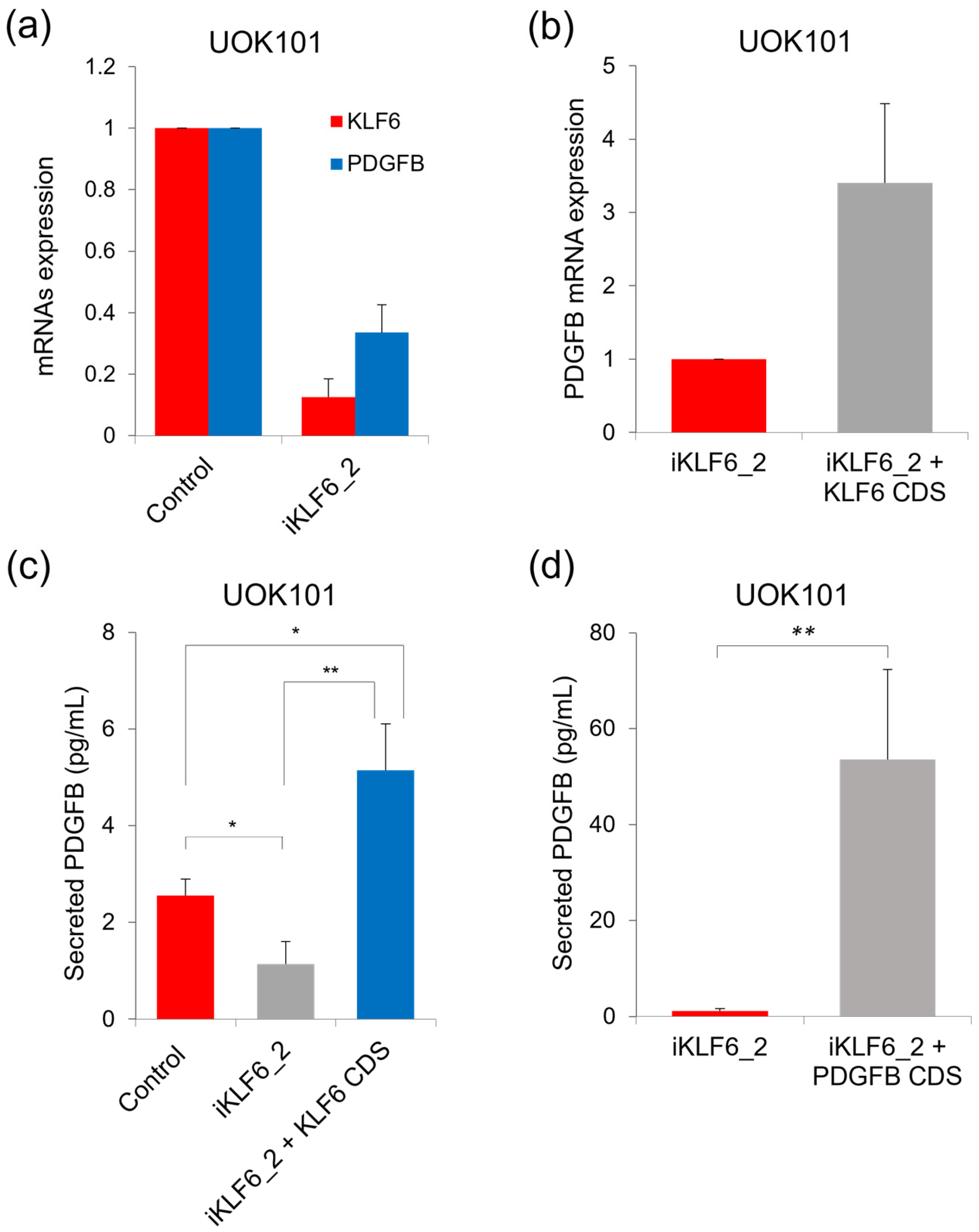 Ijms 24 06447 g004 Ijms 24 06447 g004