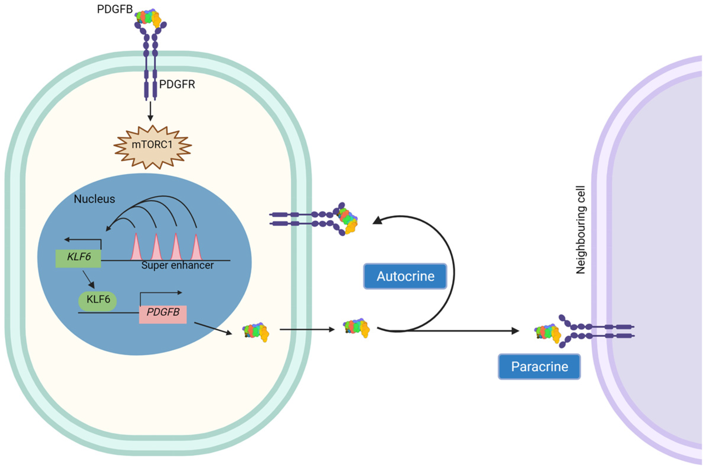 Ijms 24 06447 g006 Ijms 24 06447 g006