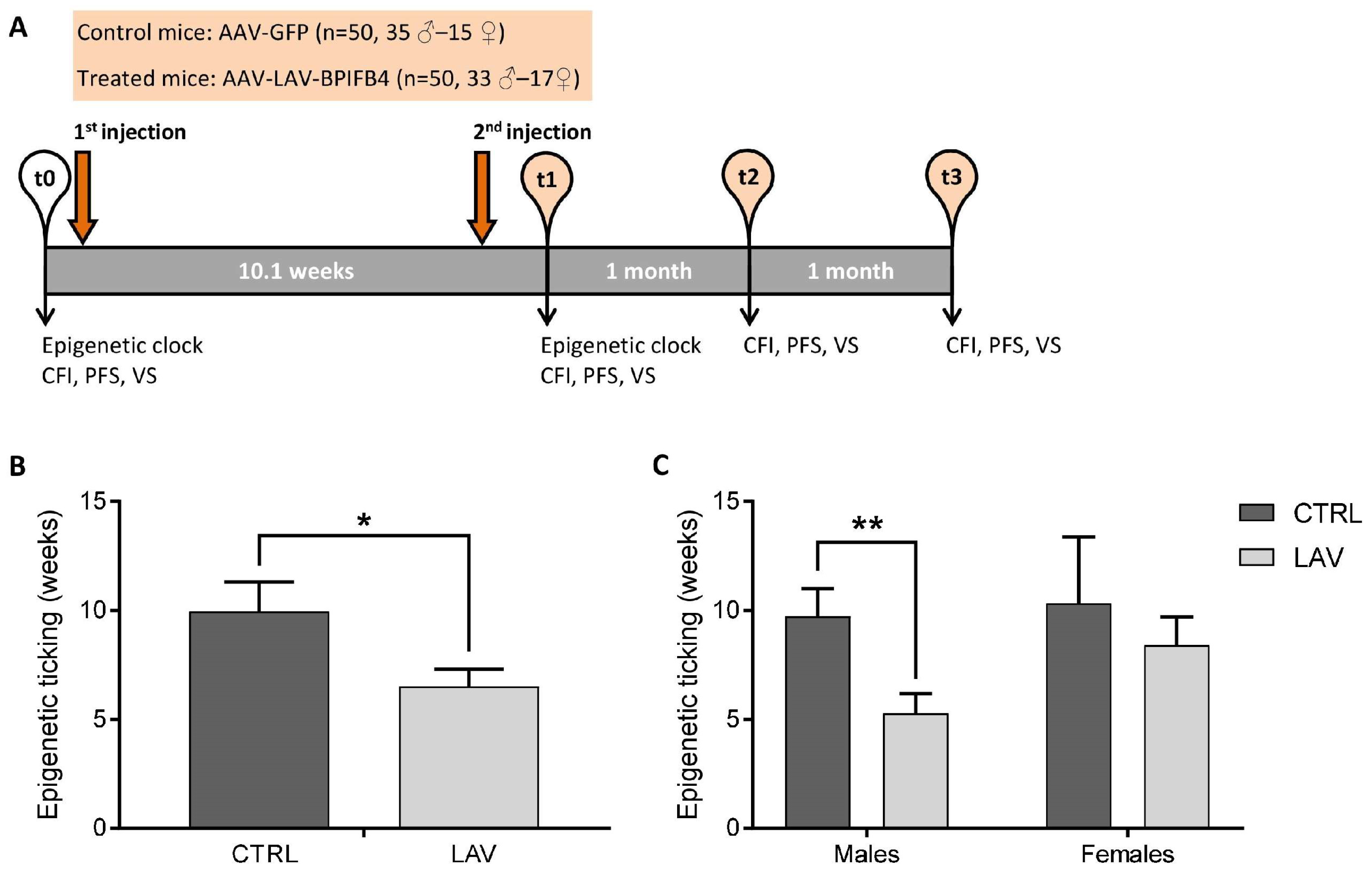 Ijms 24 06464 g001 Ijms 24 06464 g001