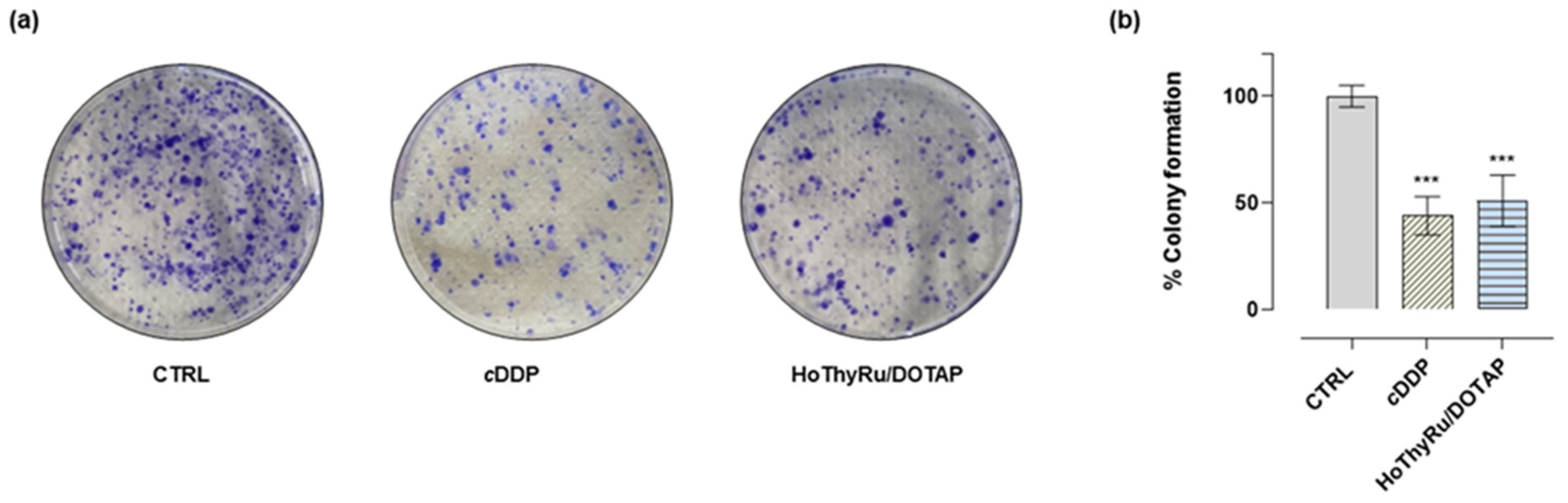 Ijms 24 06473 g002 Ijms 24 06473 g002