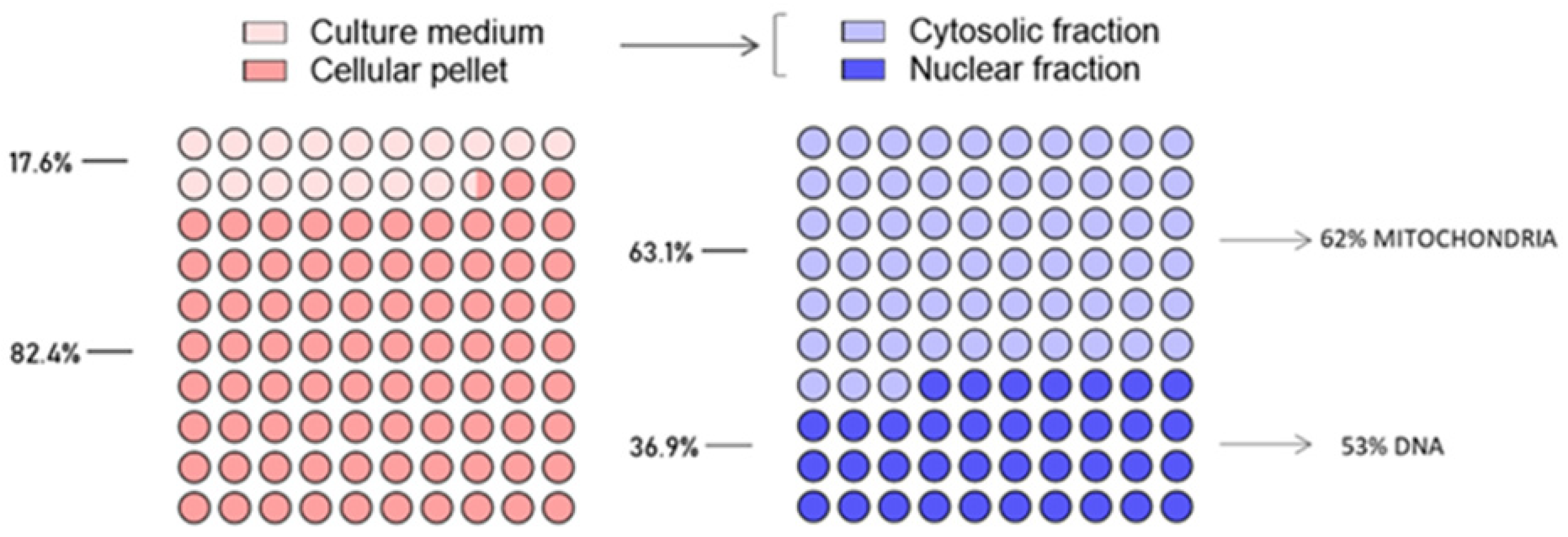 Ijms 24 06473 g003 Ijms 24 06473 g003