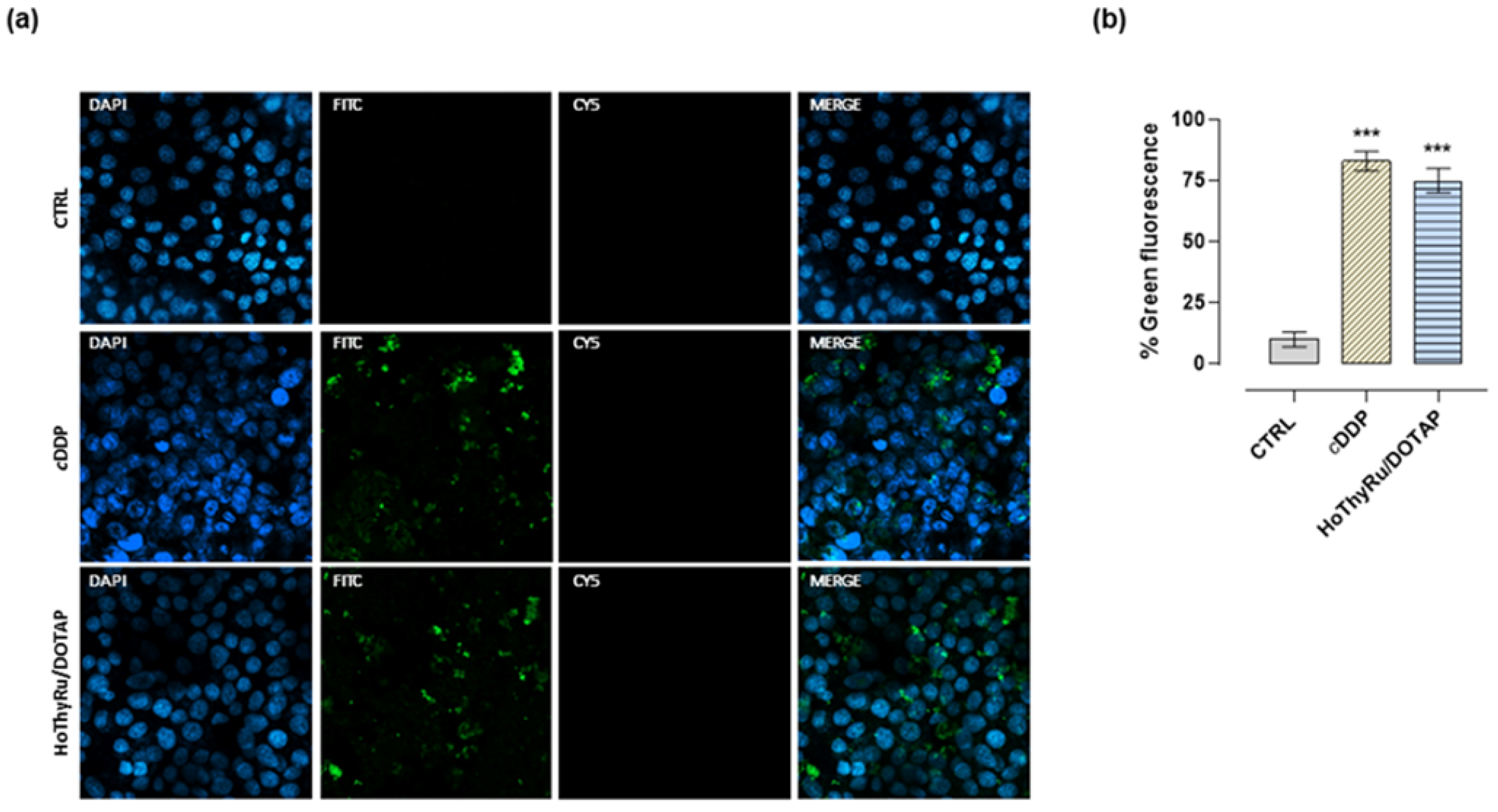 Ijms 24 06473 g004 Ijms 24 06473 g004