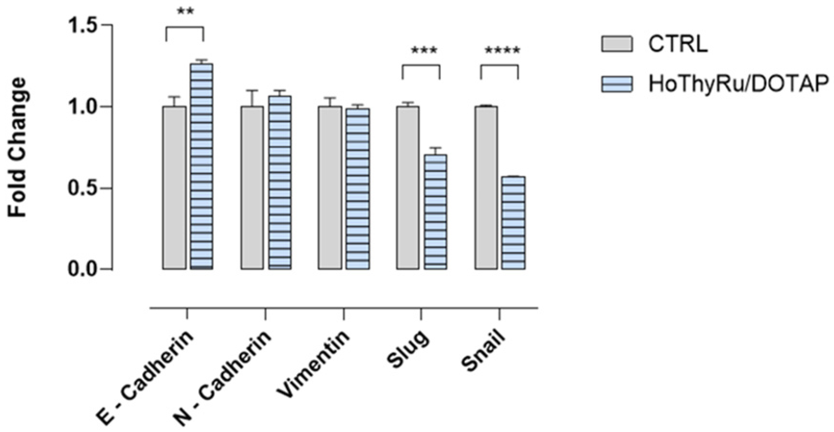 Ijms 24 06473 g008 Ijms 24 06473 g008