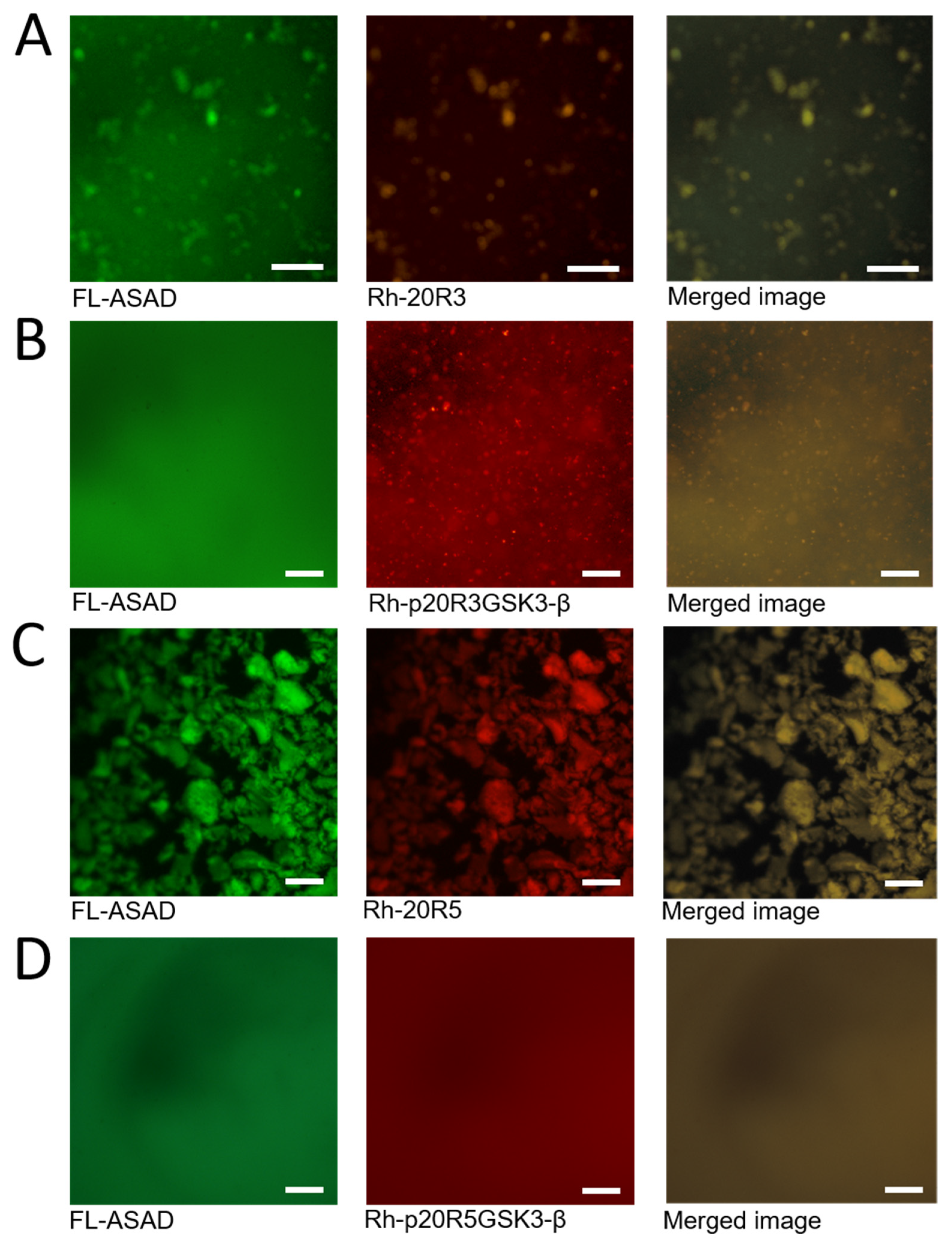 Ijms 24 06478 g004 Ijms 24 06478 g004