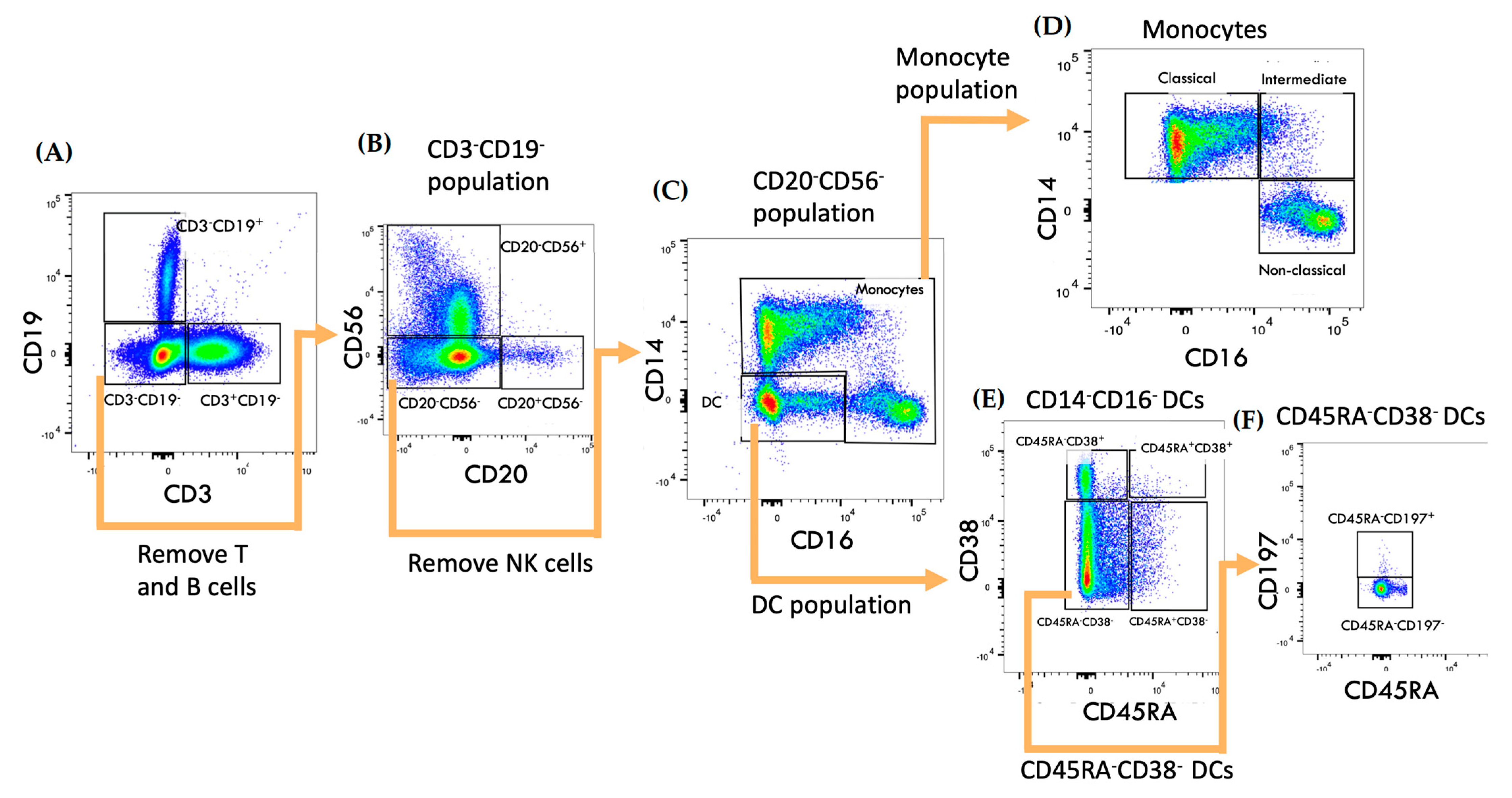 Ijms 24 06487 g001 Ijms 24 06487 g001