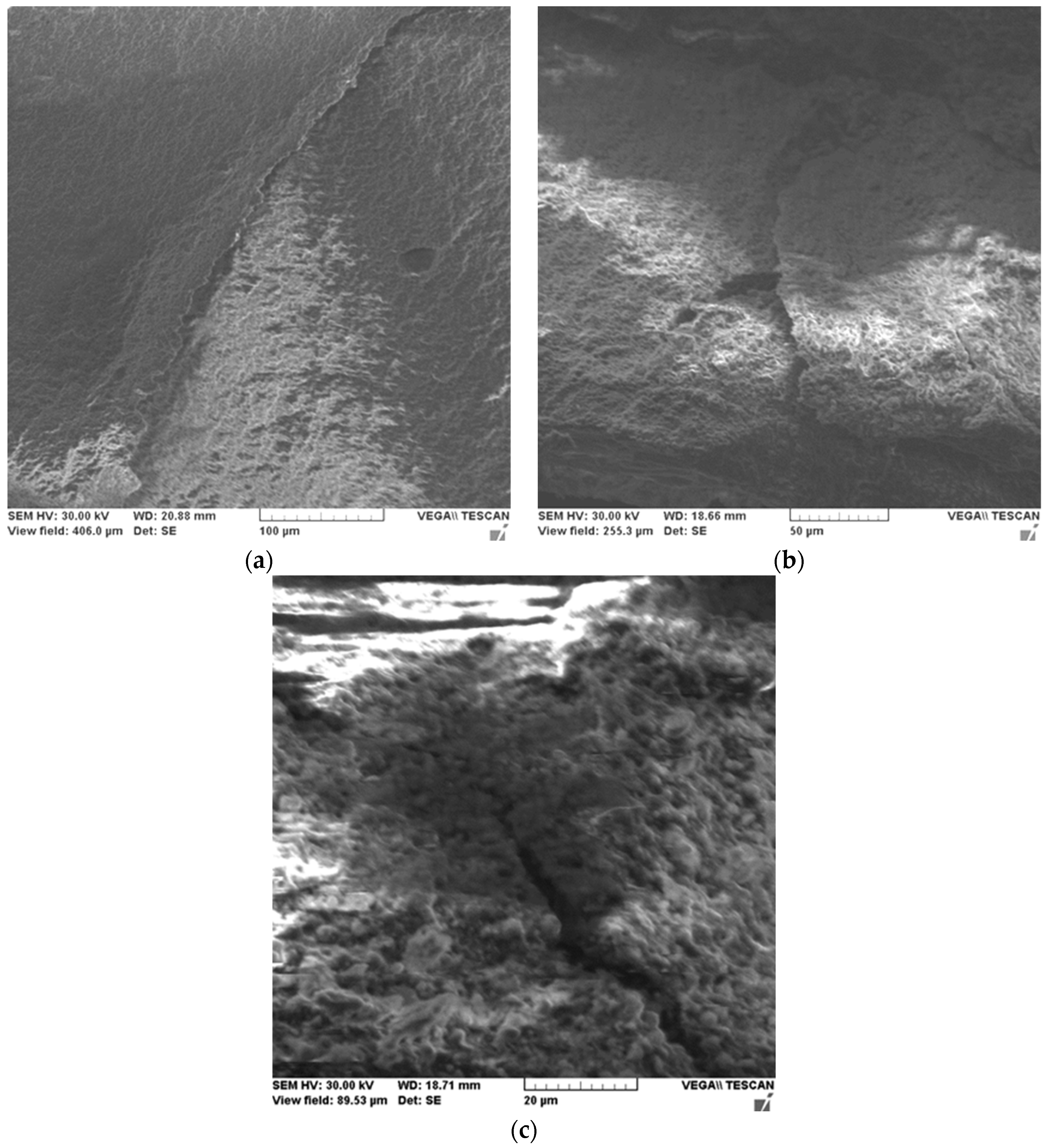 Ijms 24 06493 g003 Ijms 24 06493 g003