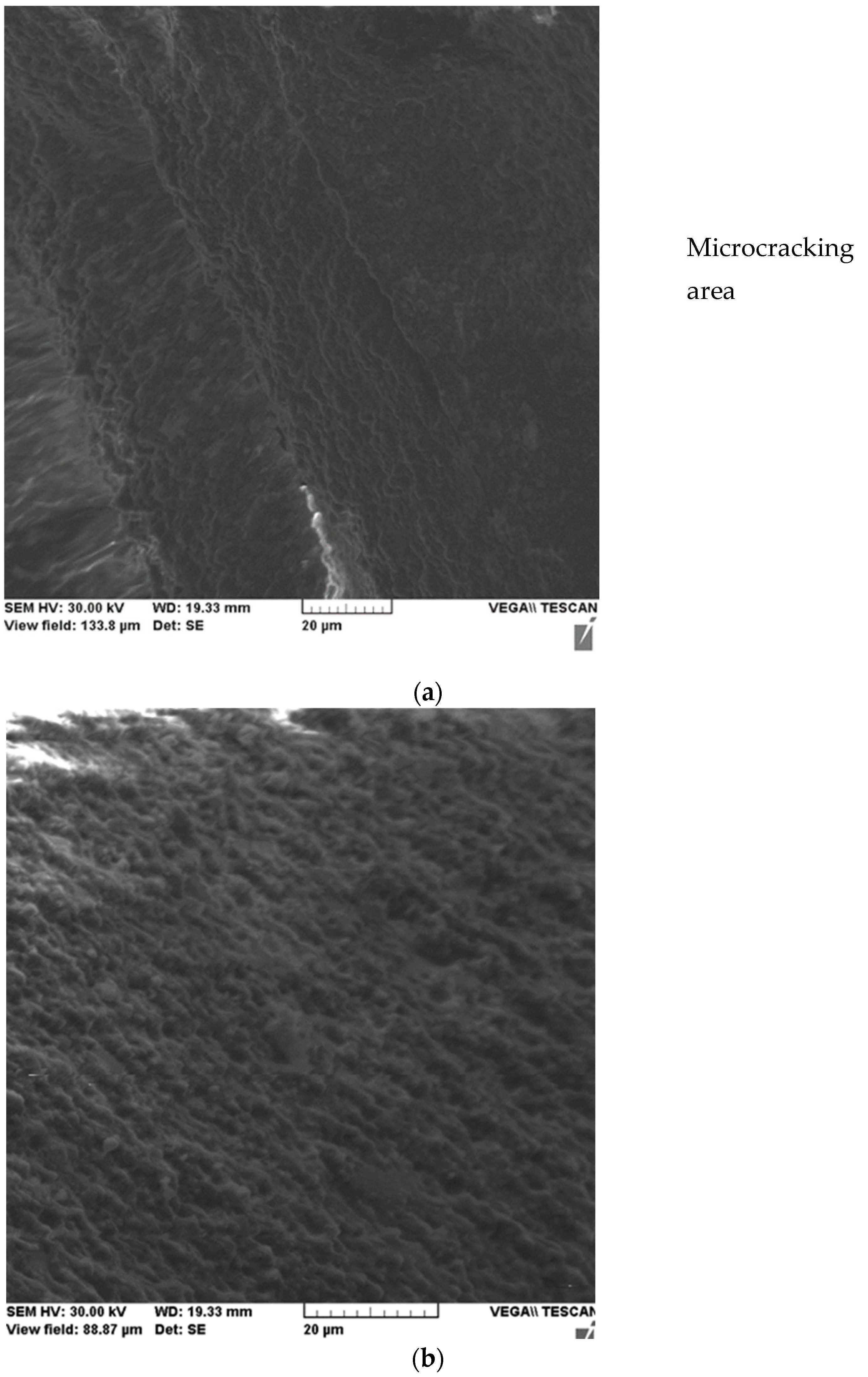 Ijms 24 06493 g004 Ijms 24 06493 g004