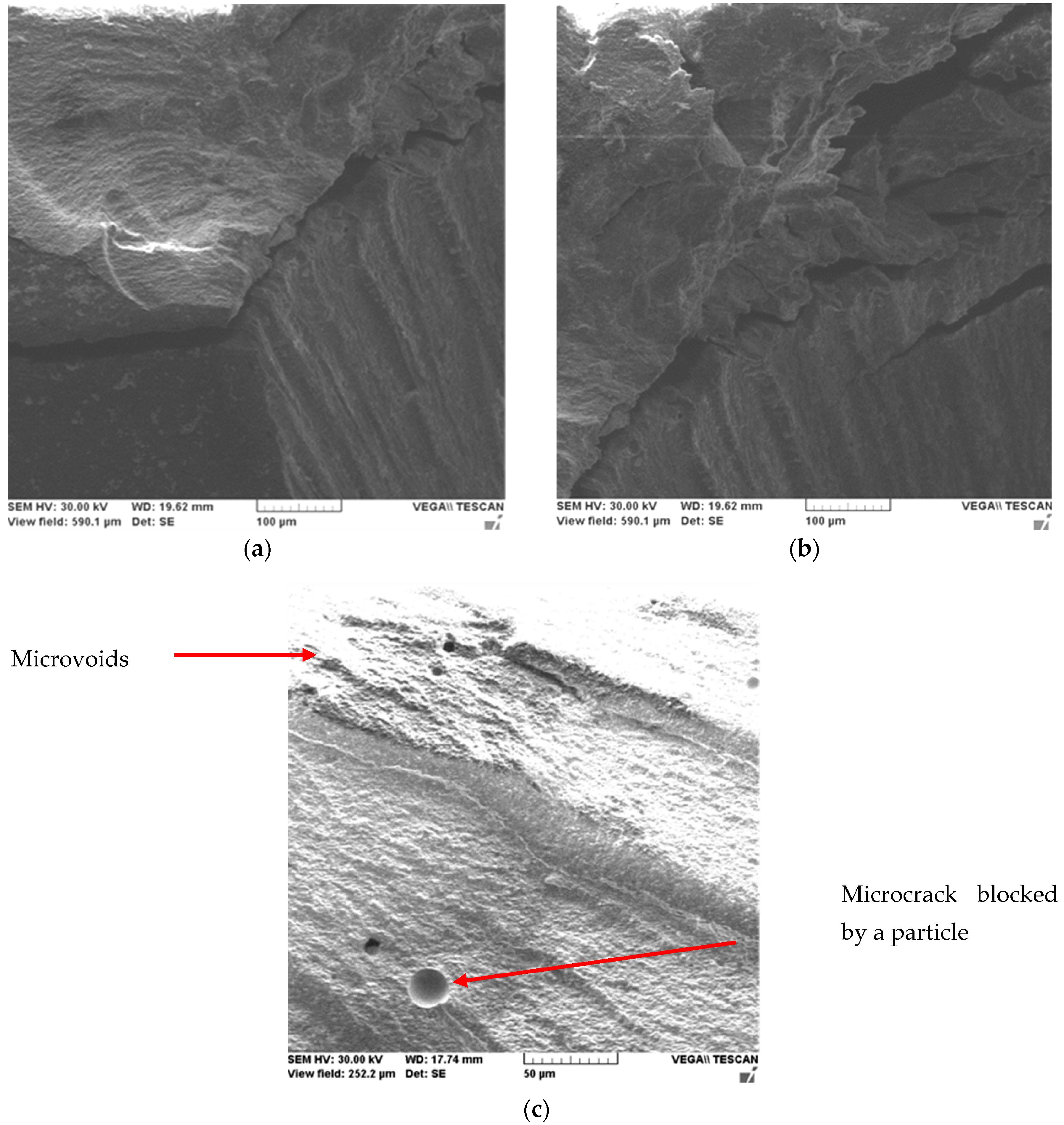 Ijms 24 06493 g005 Ijms 24 06493 g005