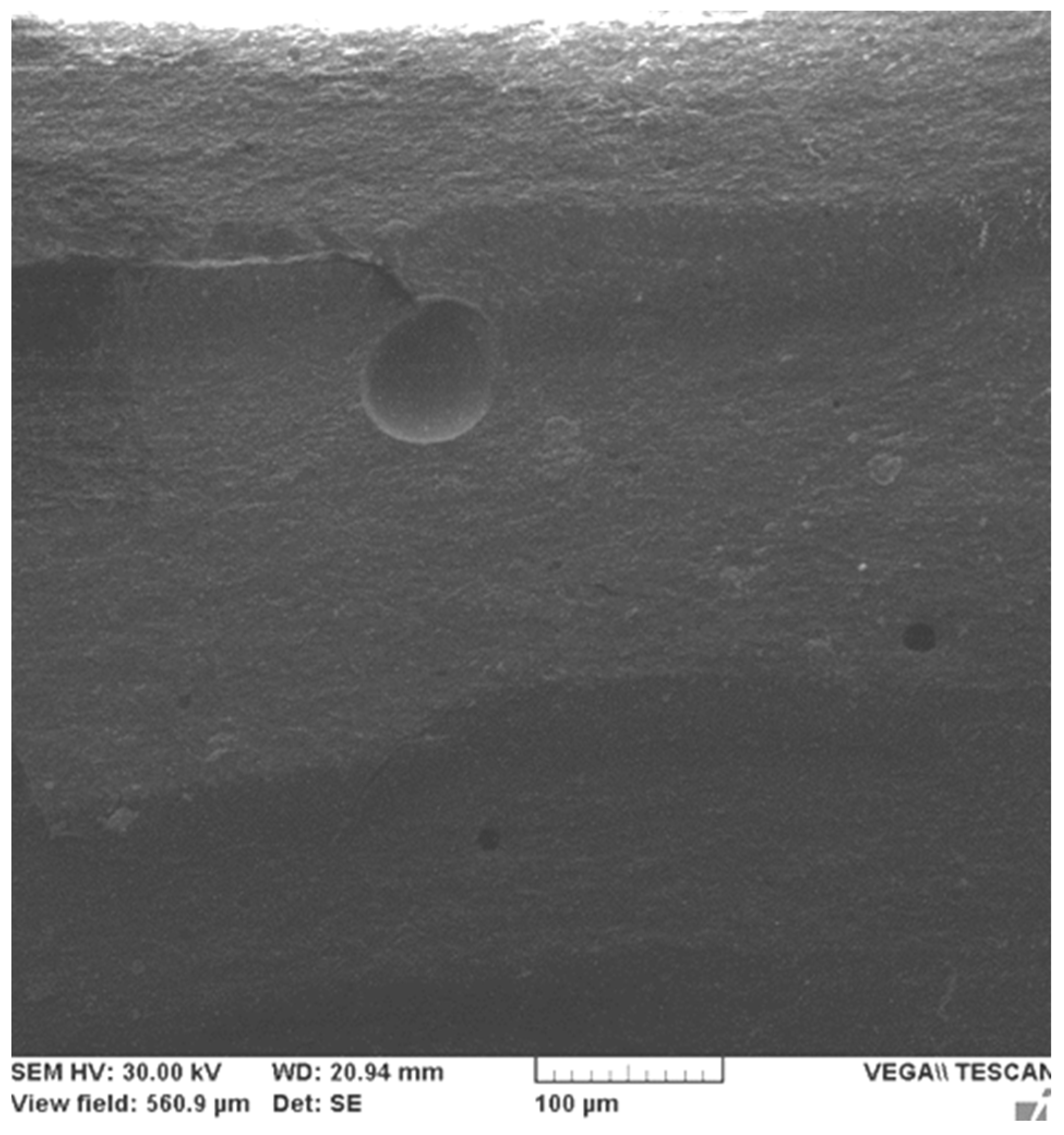 Ijms 24 06493 g006 Ijms 24 06493 g006