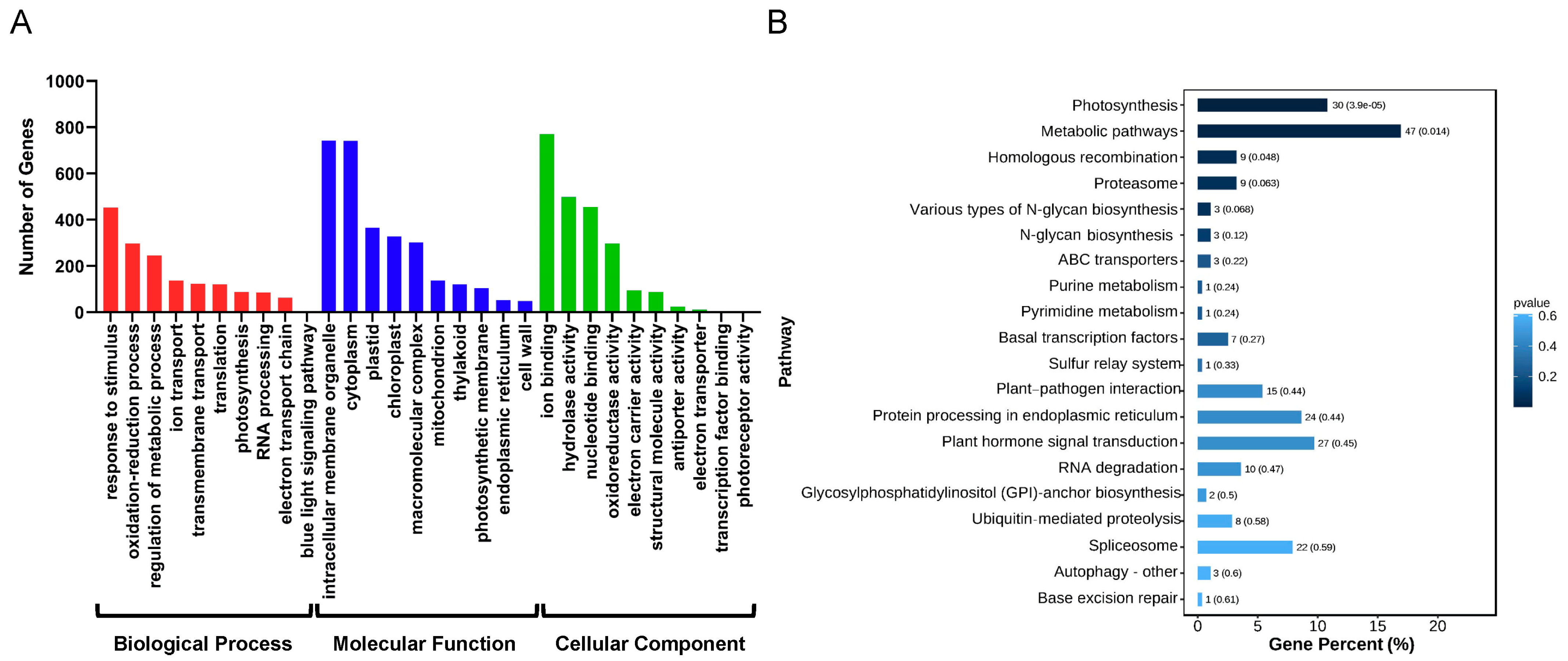 Ijms 24 06502 g003 Ijms 24 06502 g003