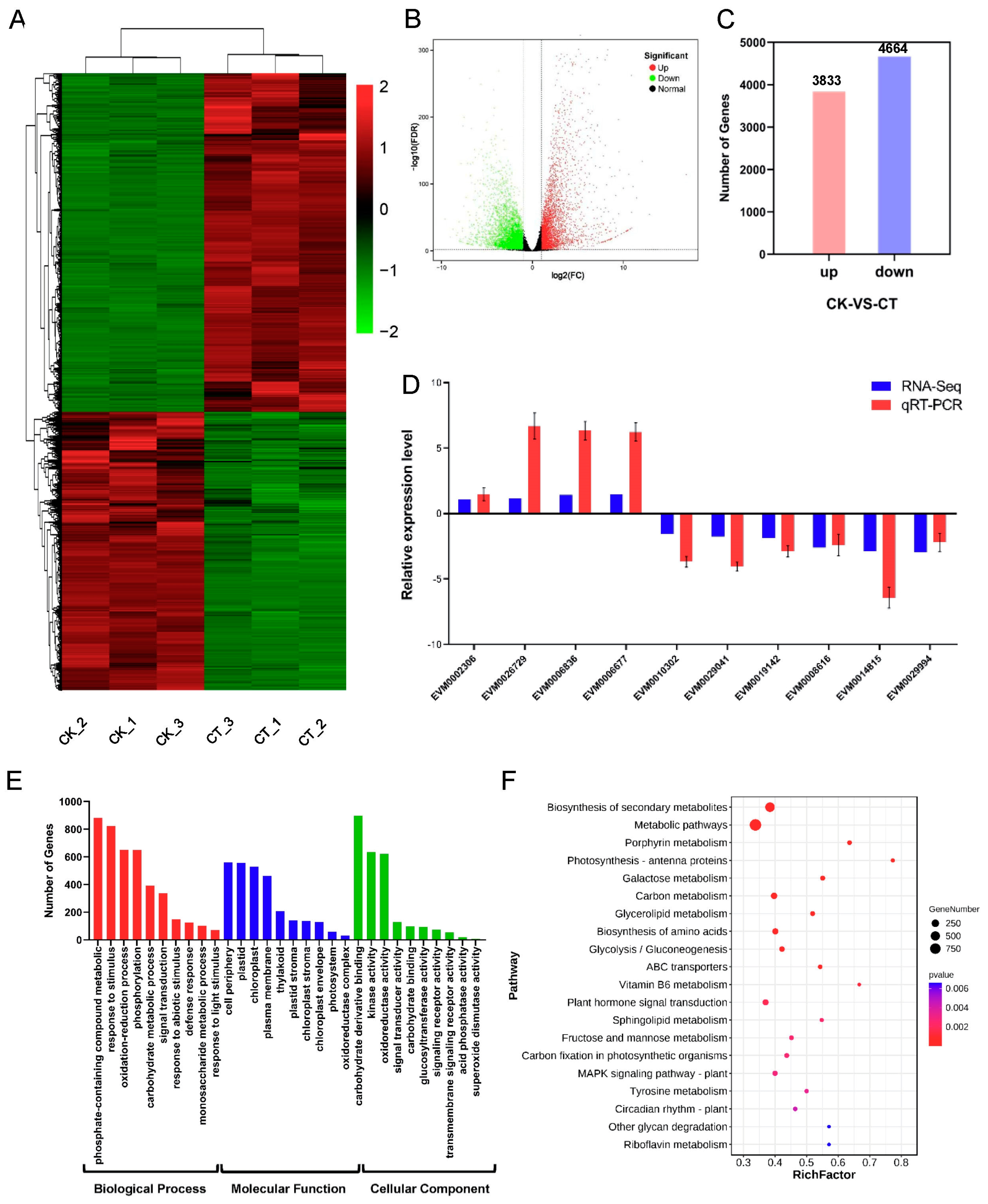 Ijms 24 06502 g006 Ijms 24 06502 g006