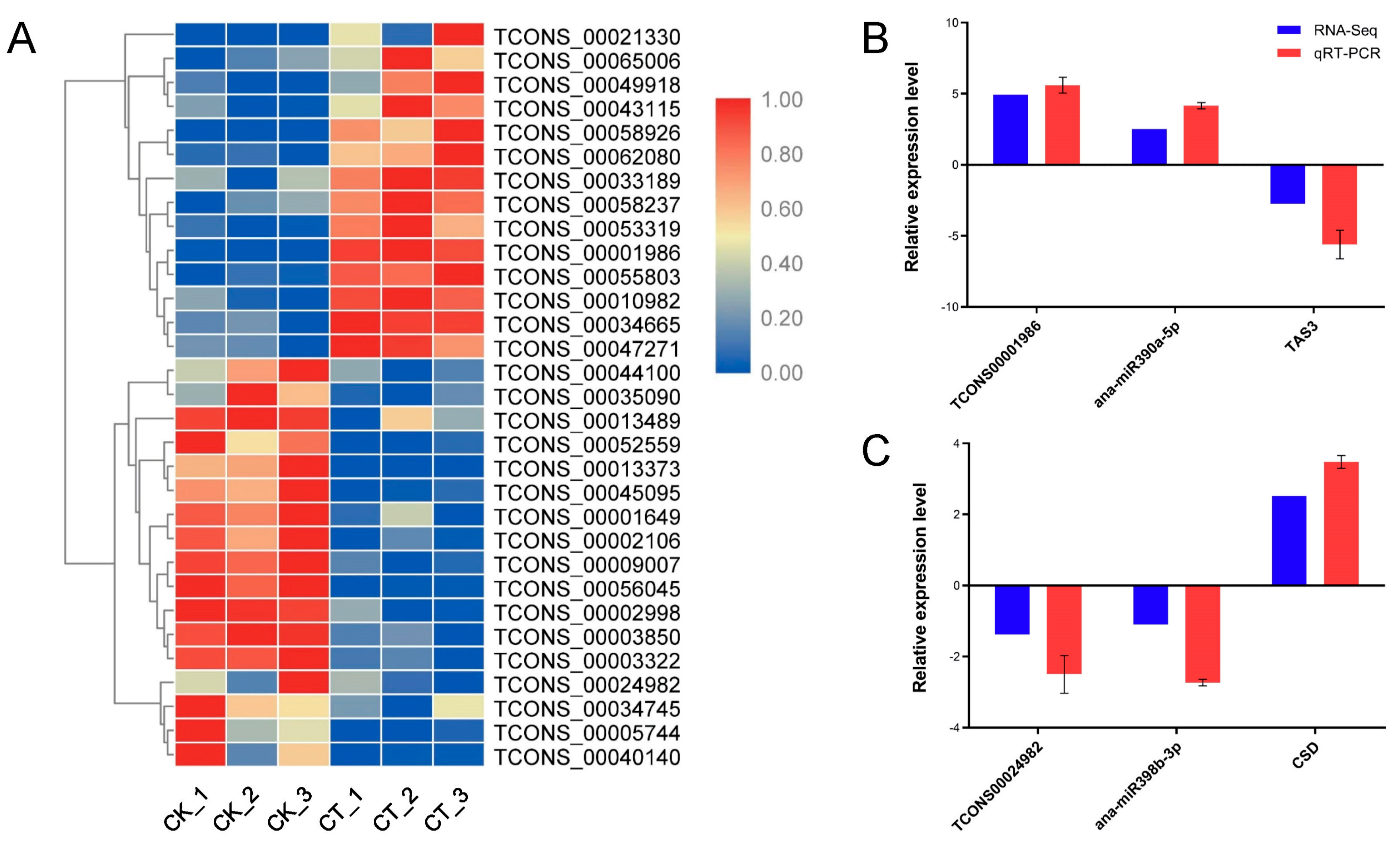 Ijms 24 06502 g008 Ijms 24 06502 g008