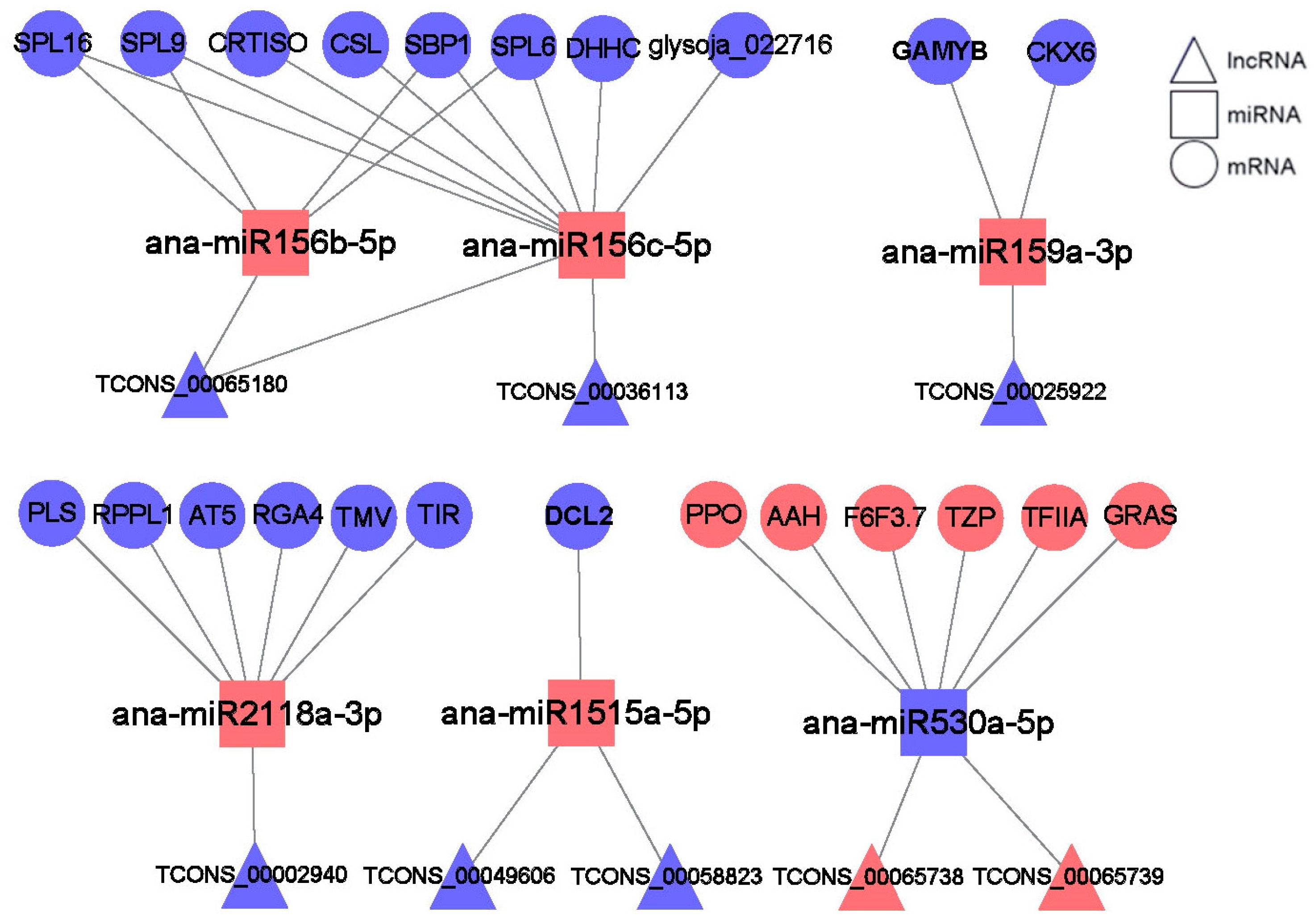 Ijms 24 06502 g009 Ijms 24 06502 g009