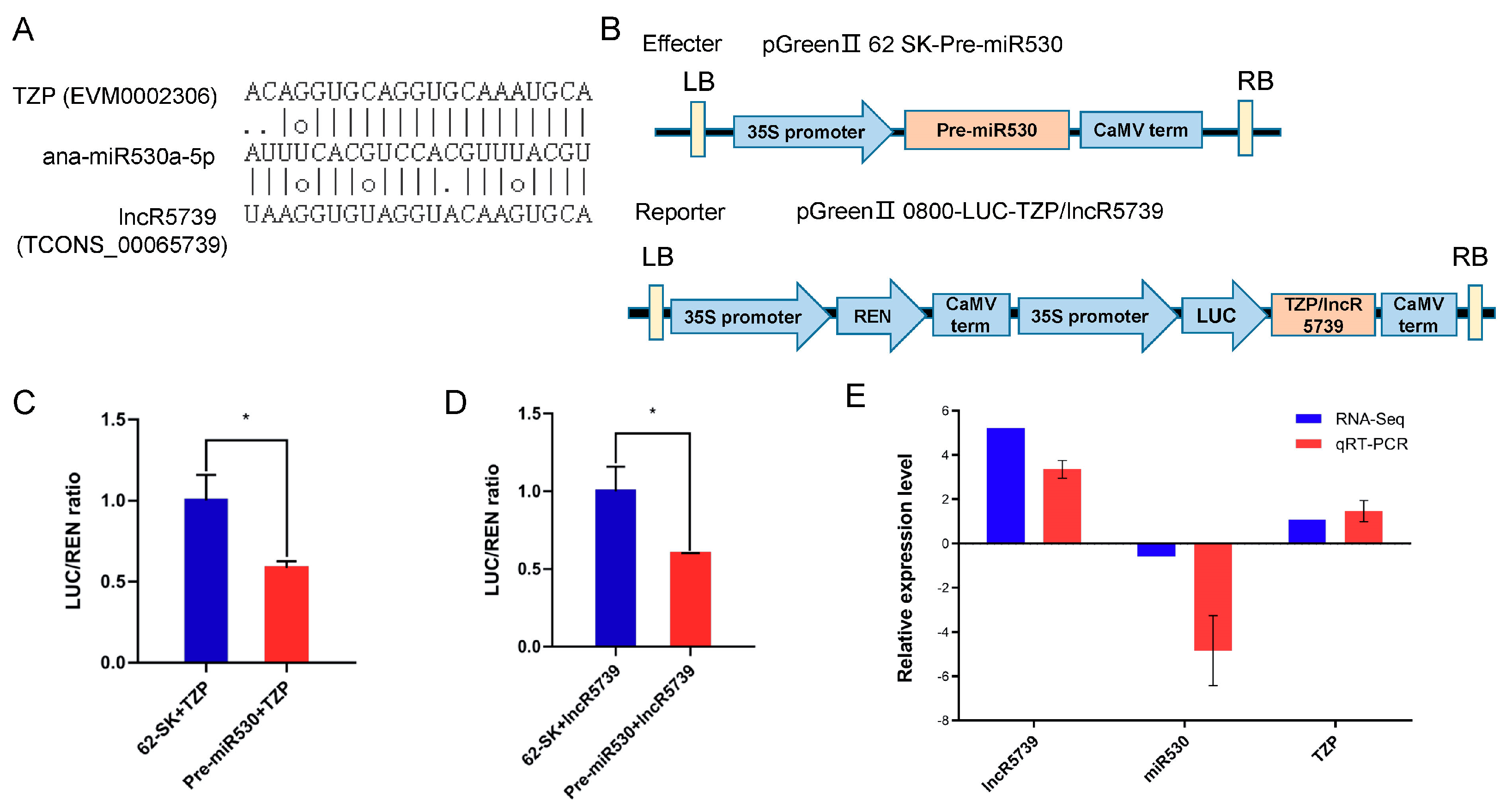 Ijms 24 06502 g010 Ijms 24 06502 g010
