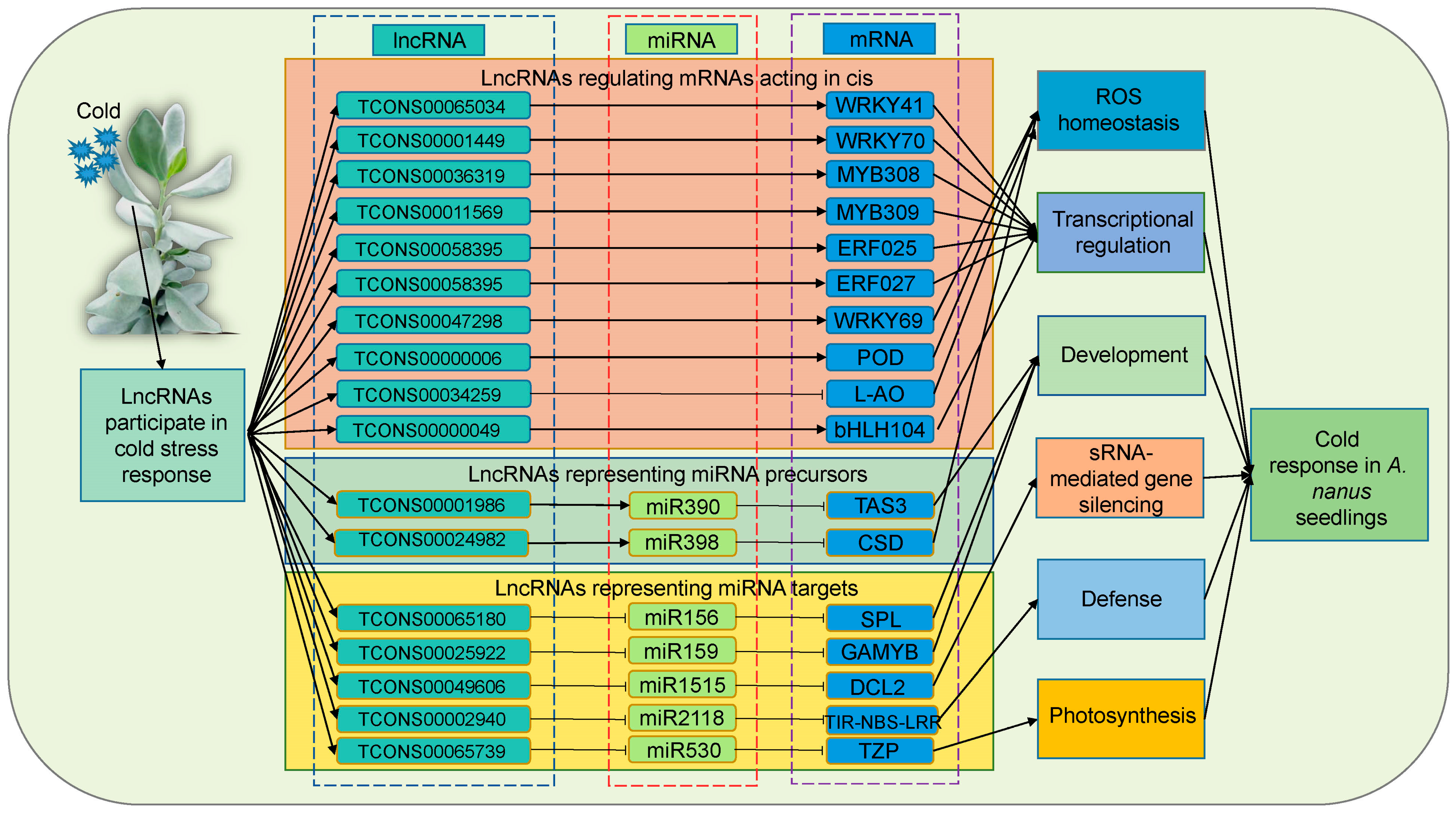Ijms 24 06502 g012 Ijms 24 06502 g012