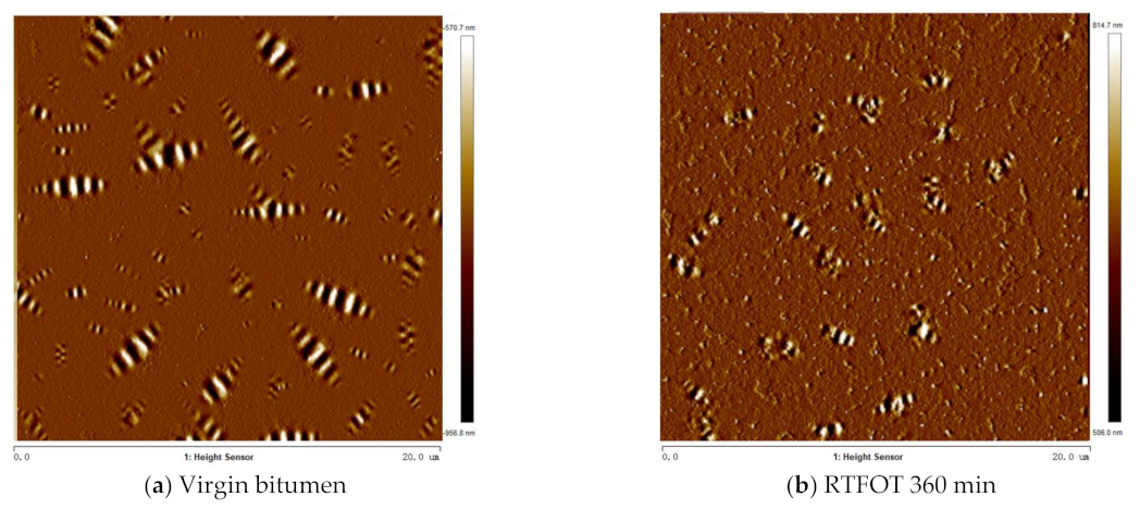 Ijms 24 06512 g019a Ijms 24 06512 g019a