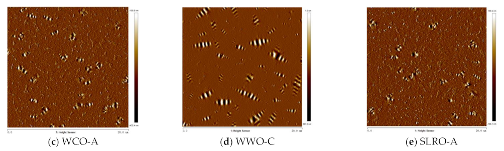 Ijms 24 06512 g019b Ijms 24 06512 g019b