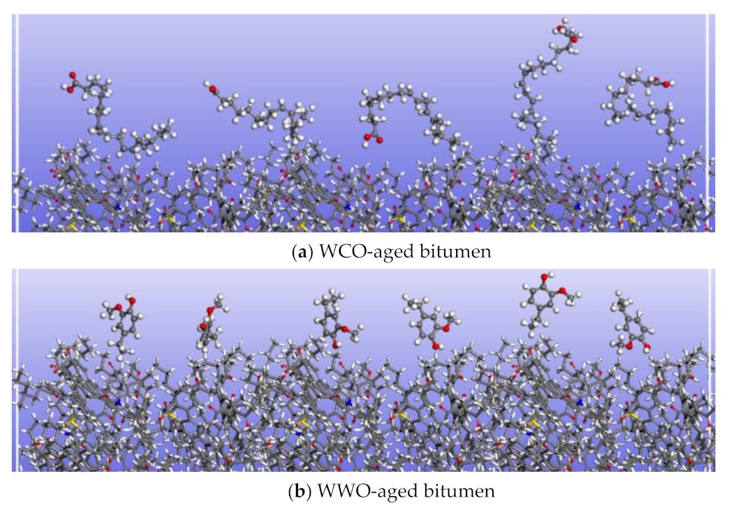 Ijms 24 06512 g020a Ijms 24 06512 g020a