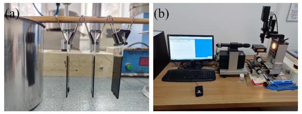 Ijms 24 06512 g024 Ijms 24 06512 g024