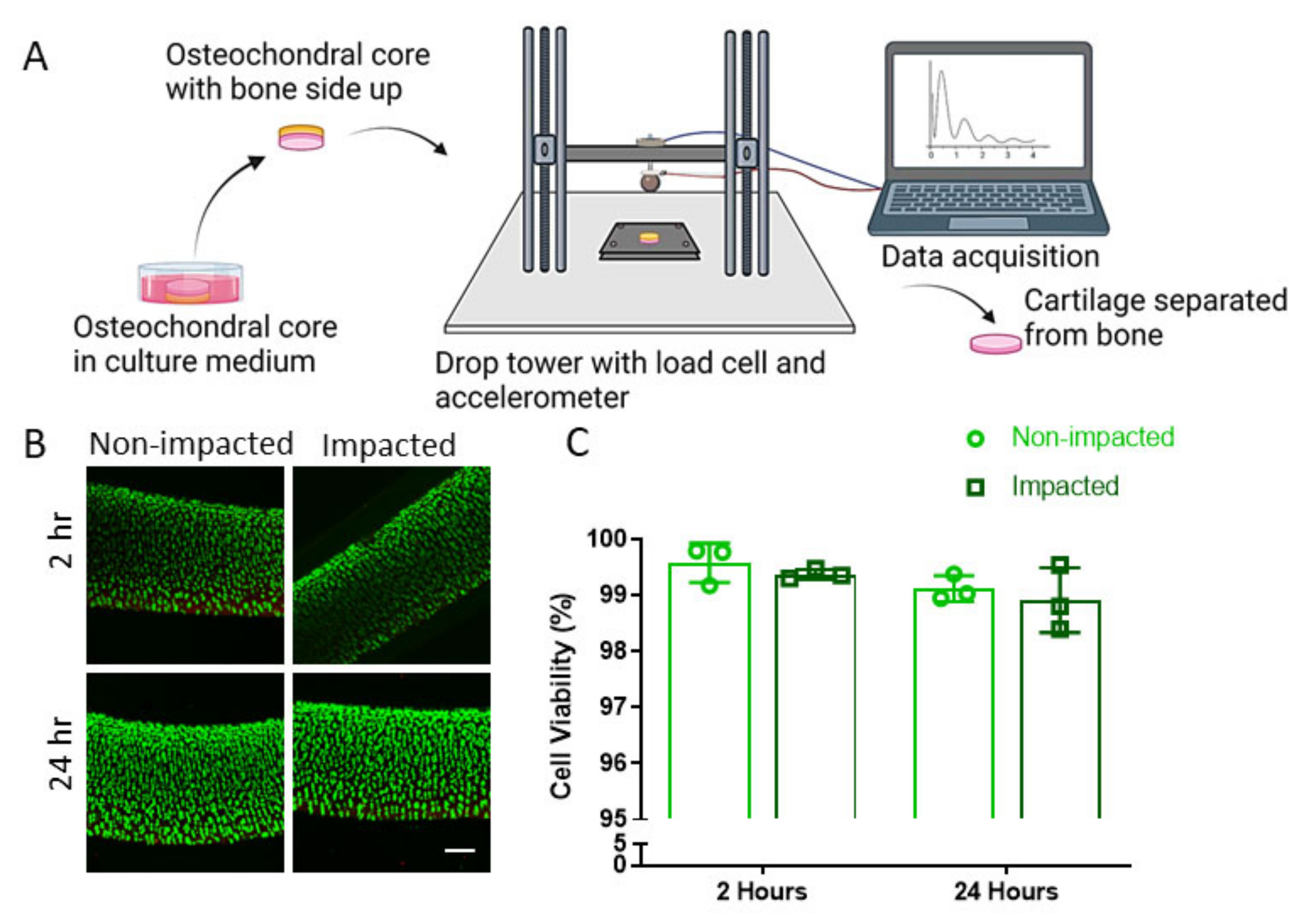 Ijms 24 06521 g001 Ijms 24 06521 g001