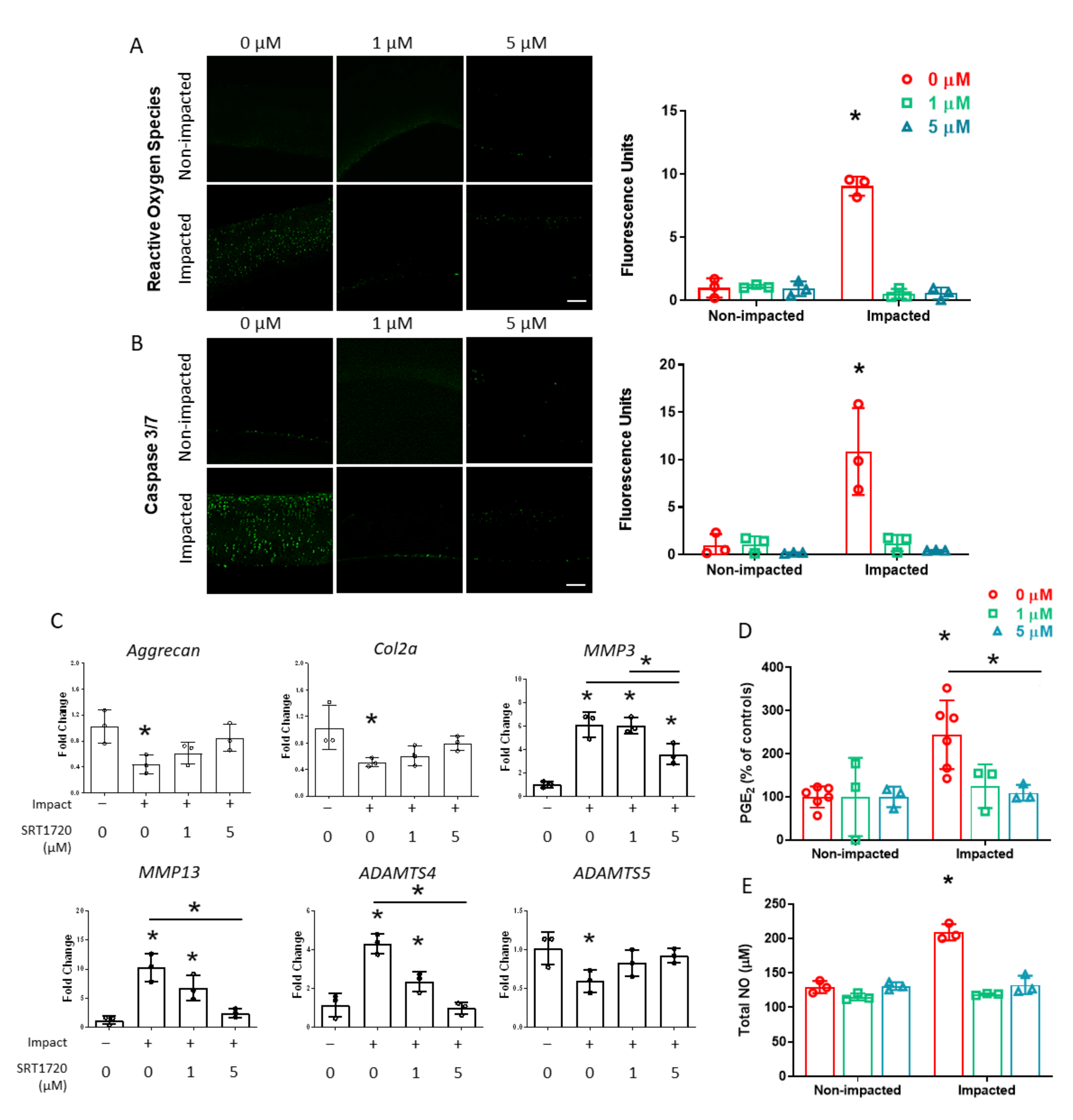 Ijms 24 06521 g003 Ijms 24 06521 g003