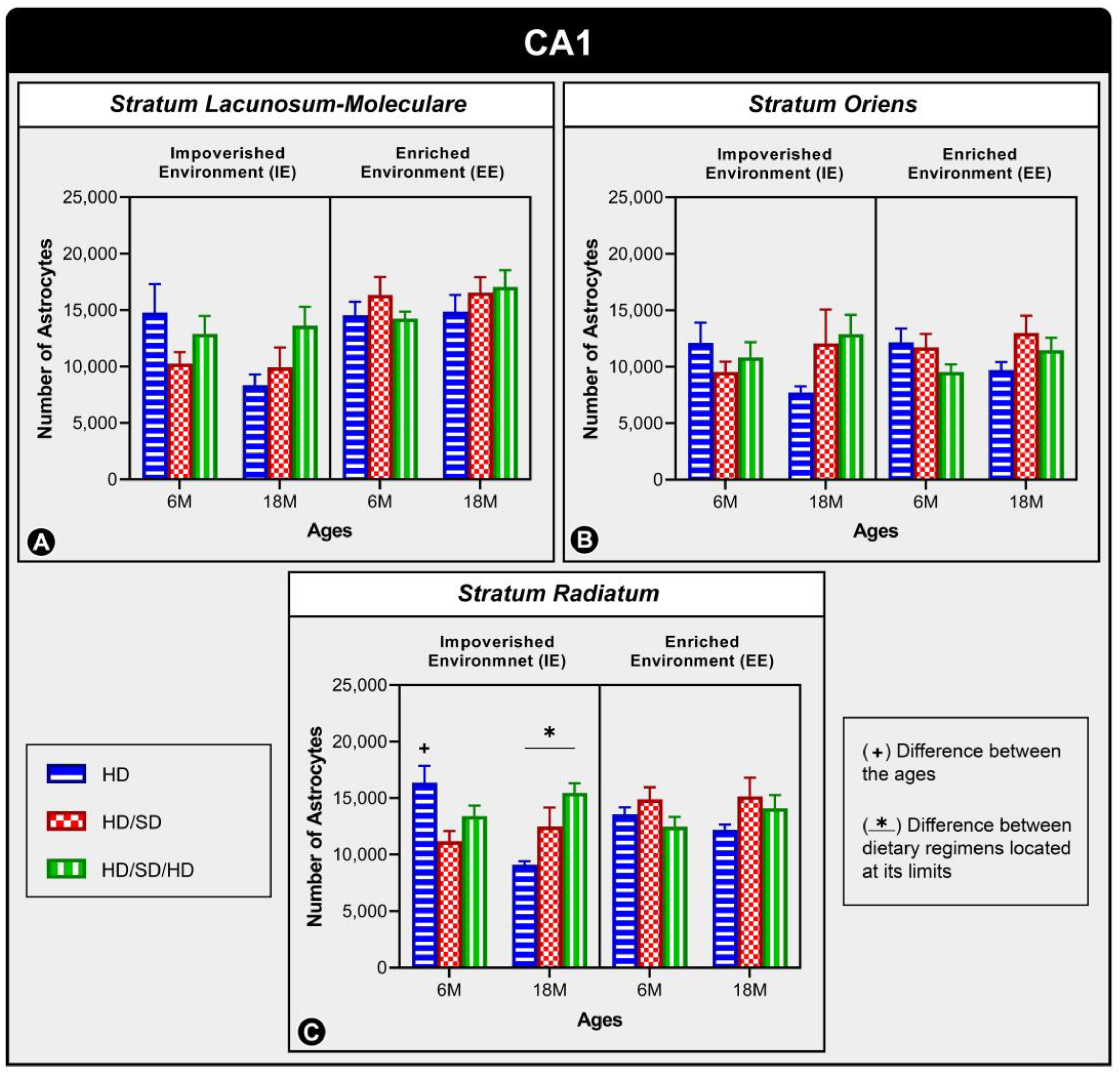 Ijms 24 06529 g003 Ijms 24 06529 g003