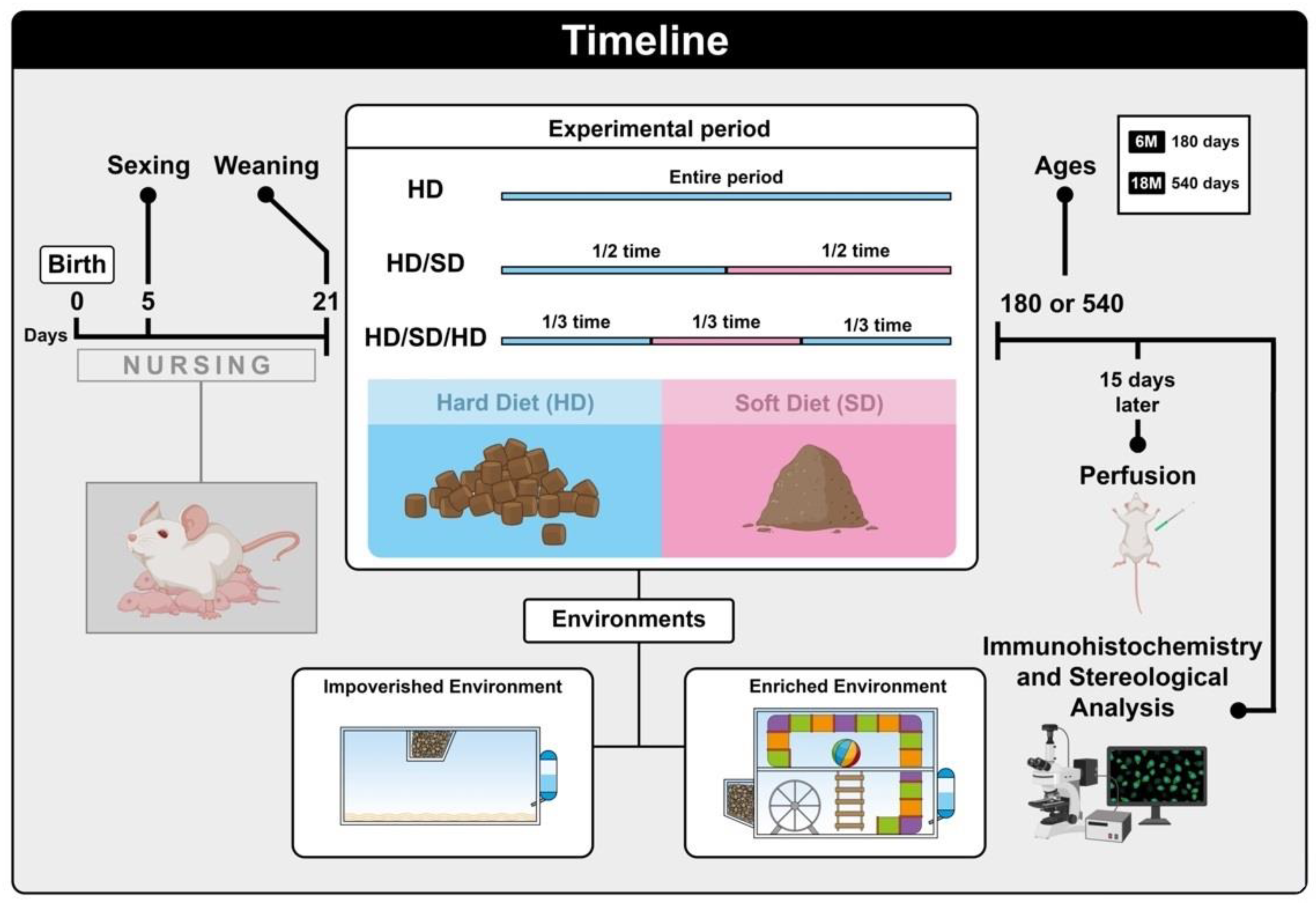 Ijms 24 06529 g005 Ijms 24 06529 g005