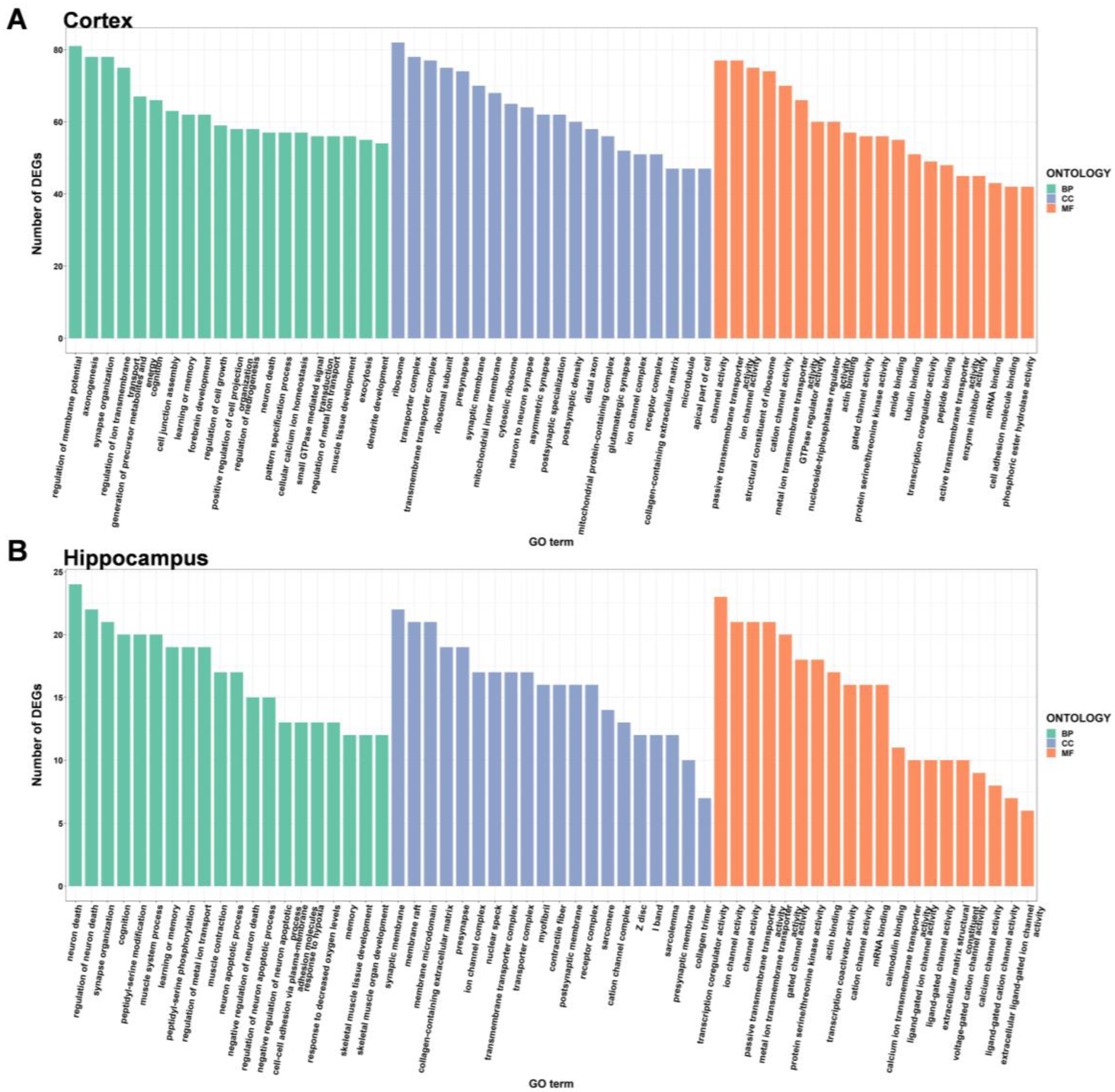 Ijms 24 06542 g004 Ijms 24 06542 g004
