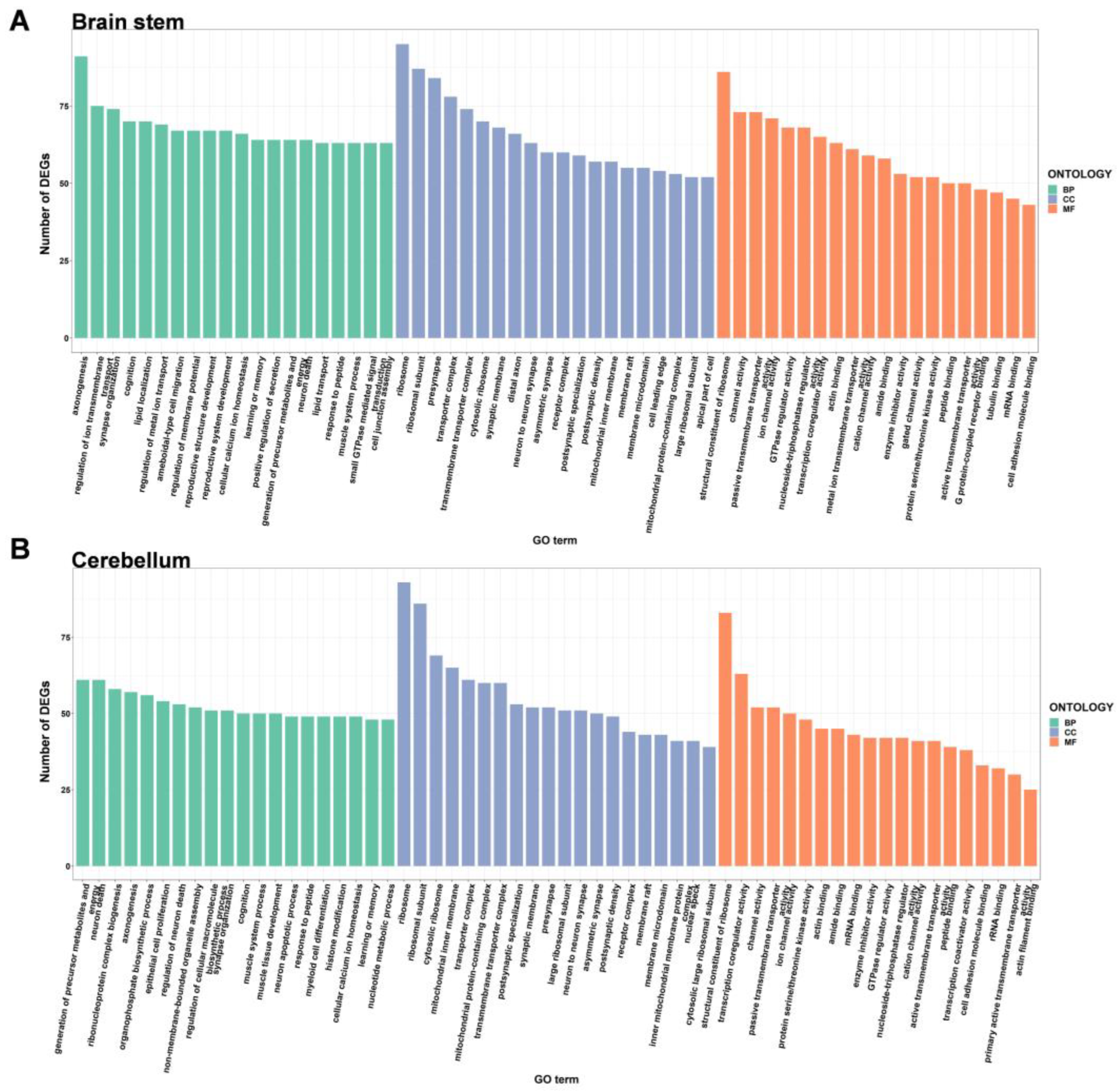 Ijms 24 06542 g005 Ijms 24 06542 g005