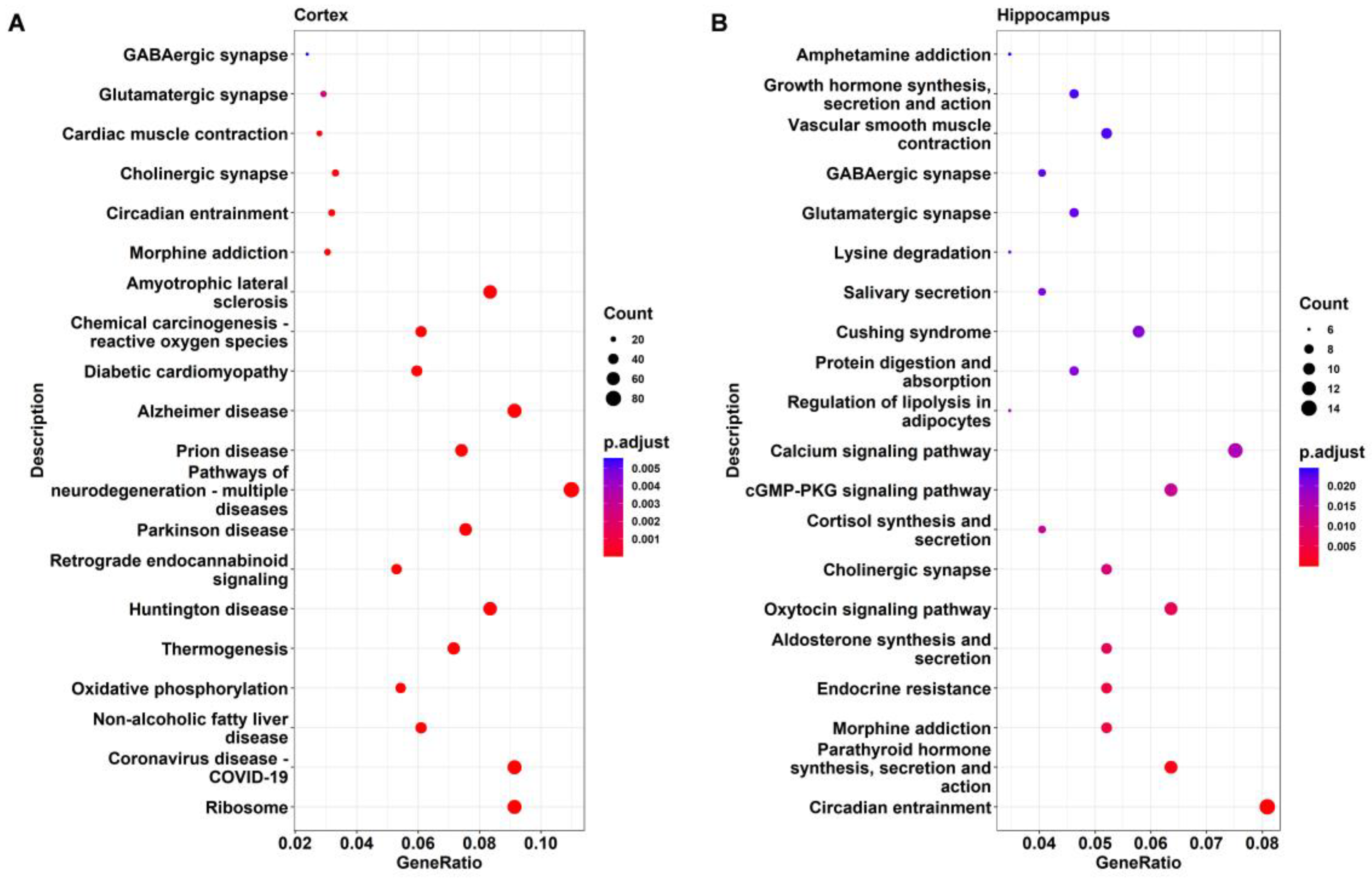 Ijms 24 06542 g006 Ijms 24 06542 g006