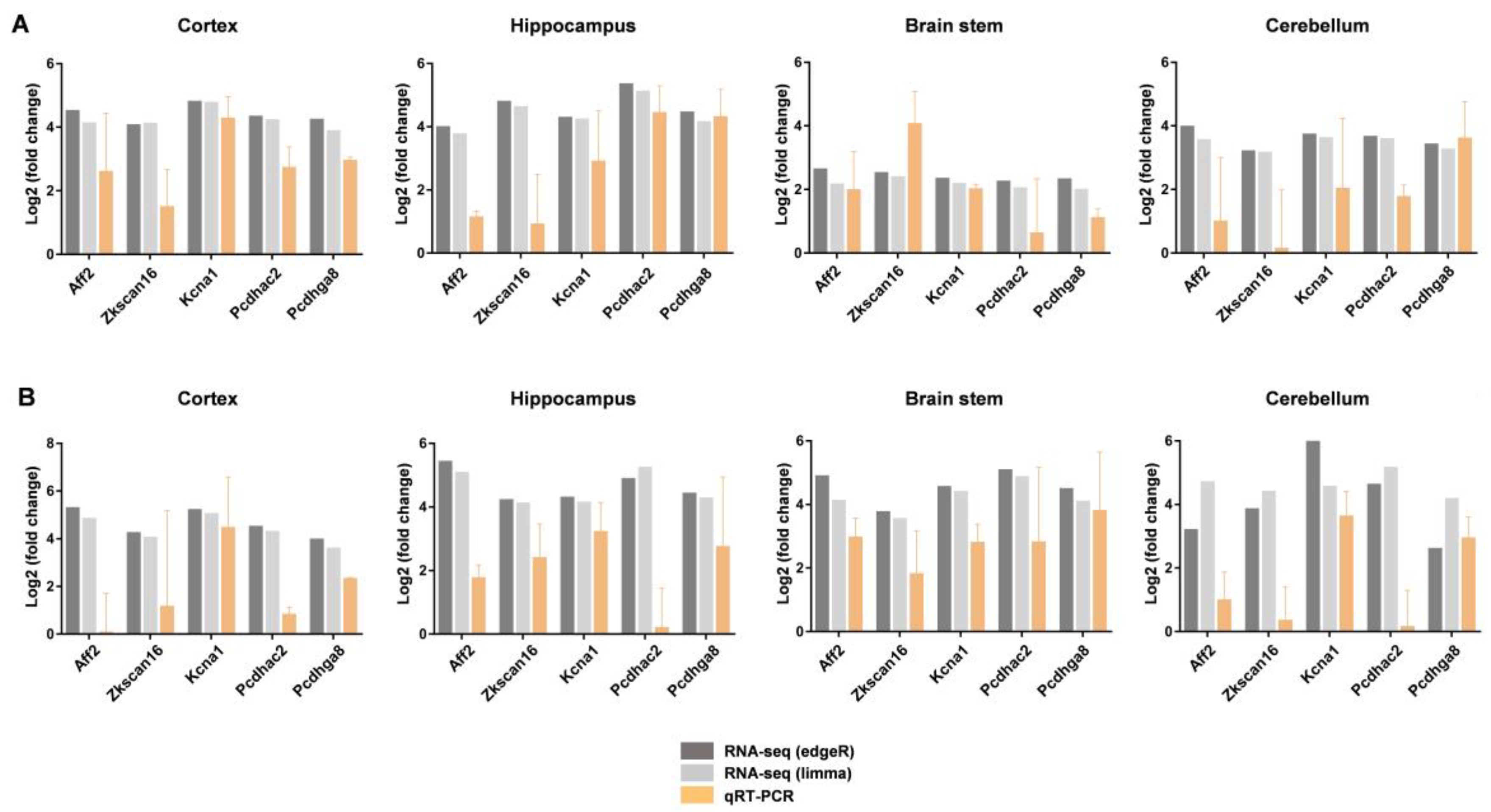 Ijms 24 06542 g008 Ijms 24 06542 g008