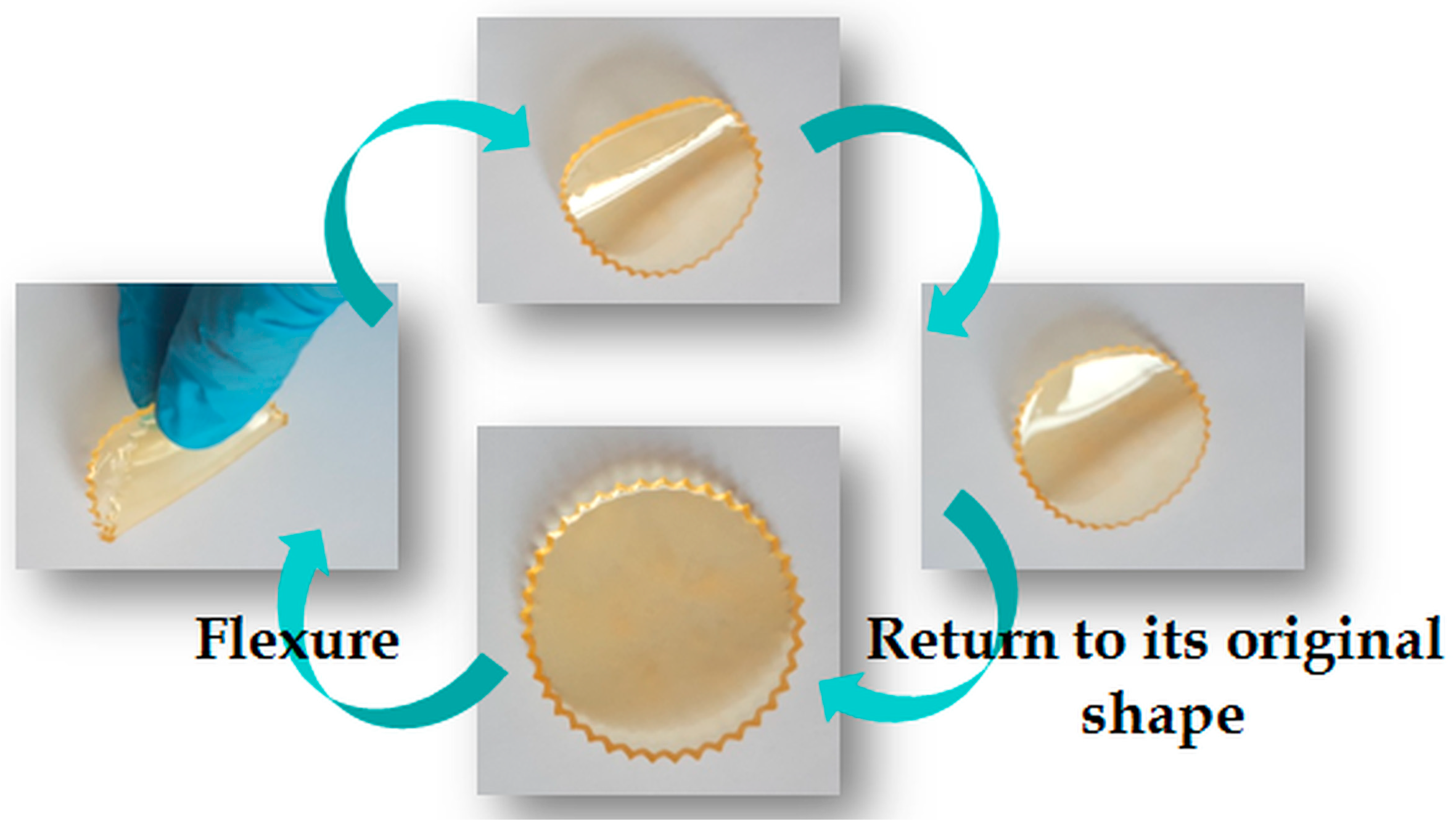 Ijms 24 06544 g007 Ijms 24 06544 g007