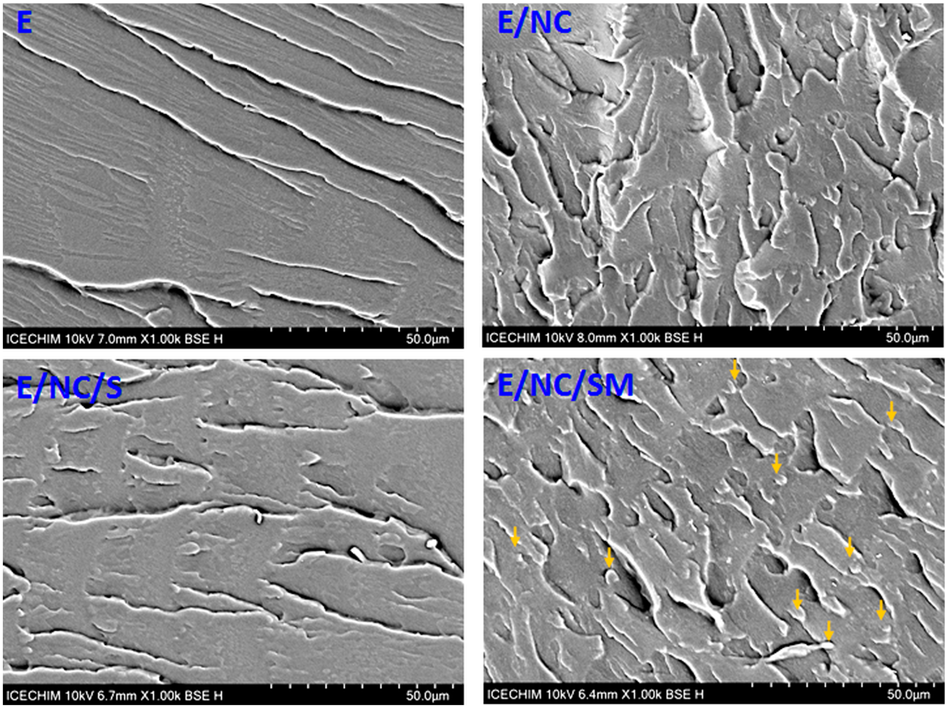 Ijms 24 06544 g009 Ijms 24 06544 g009