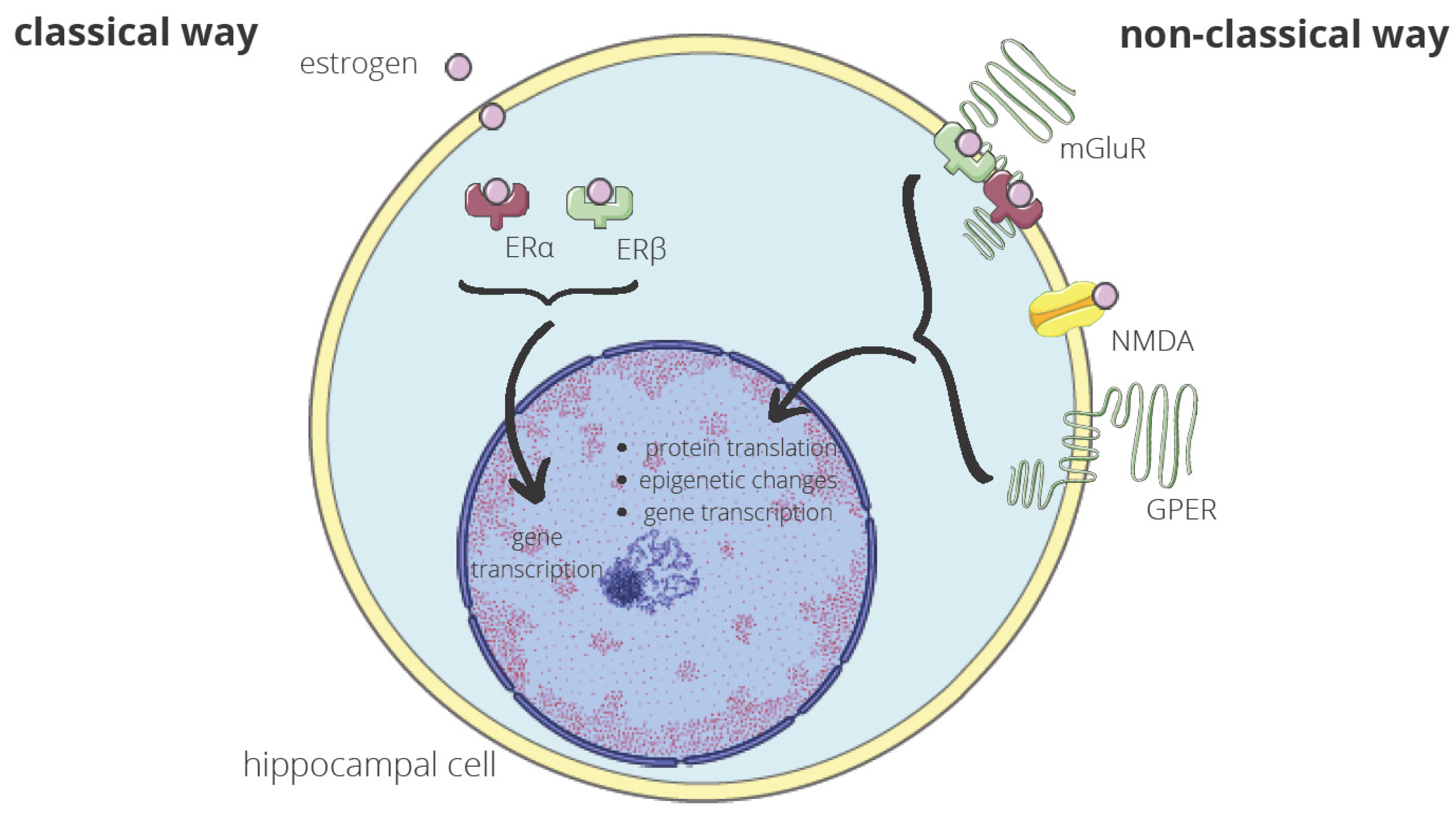 Ijms 24 06566 g002 Ijms 24 06566 g002