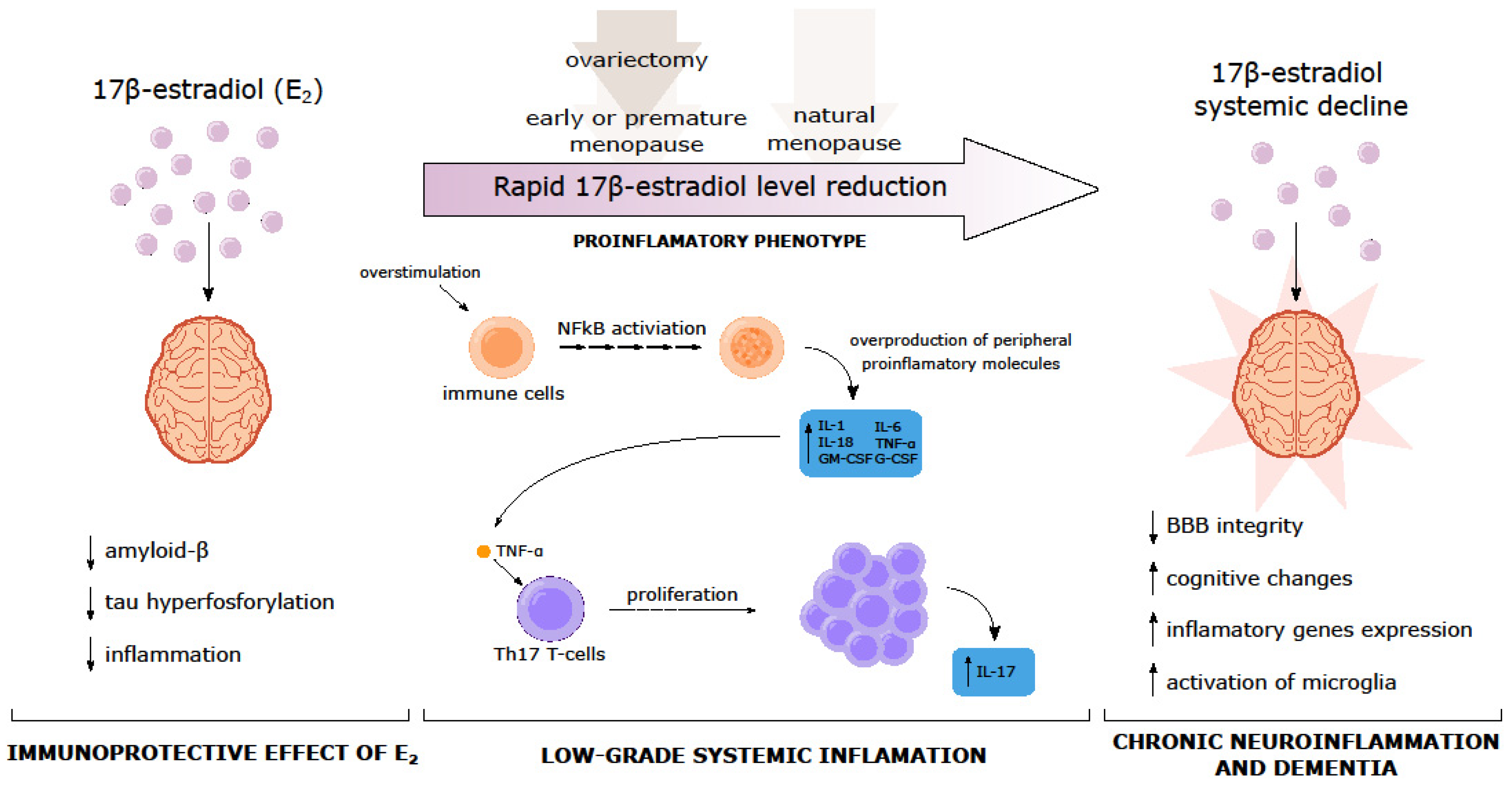 Ijms 24 06566 g003 Ijms 24 06566 g003