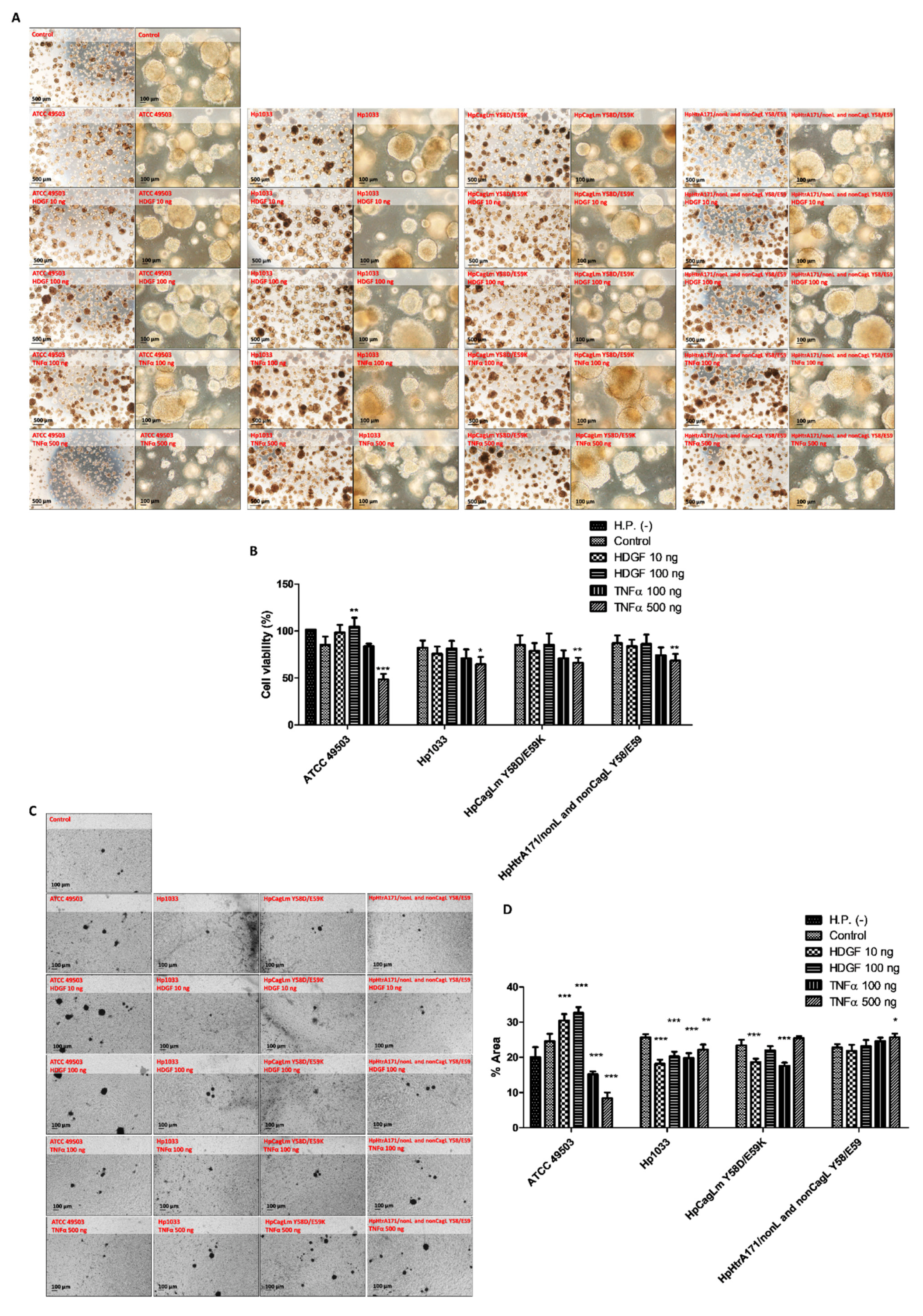 Ijms 24 06567 g003 Ijms 24 06567 g003