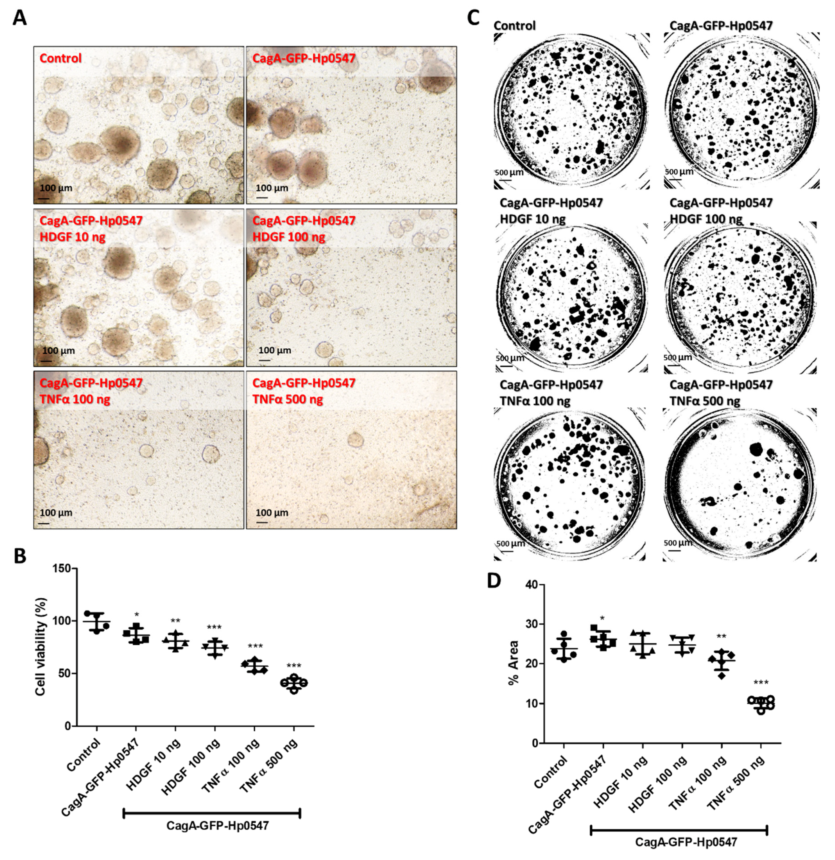 Ijms 24 06567 g004 Ijms 24 06567 g004