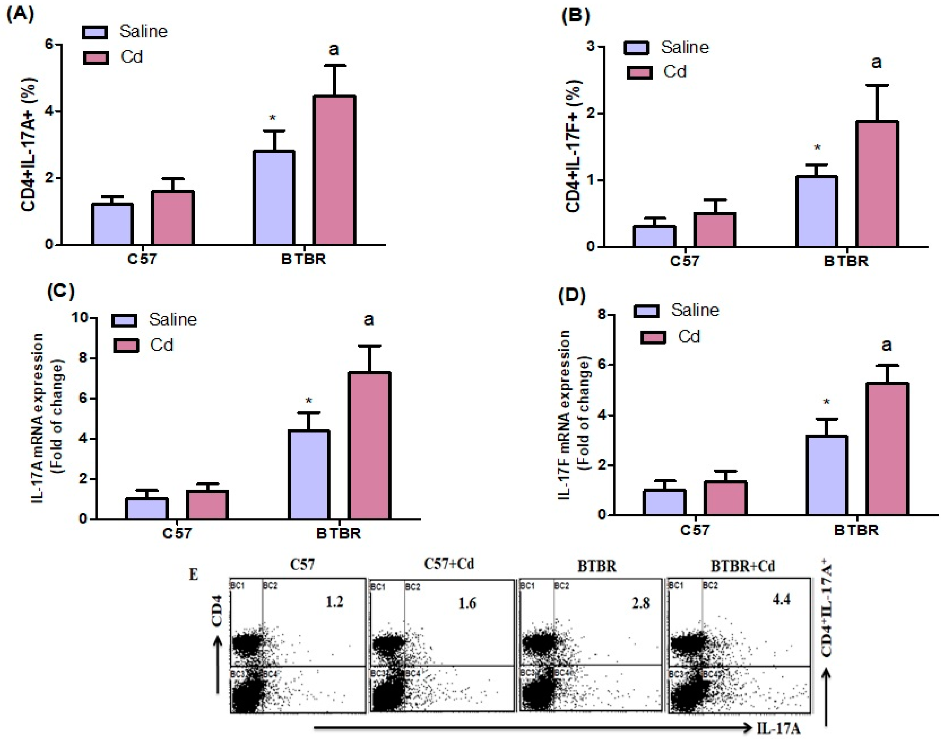 Ijms 24 06575 g002 Ijms 24 06575 g002
