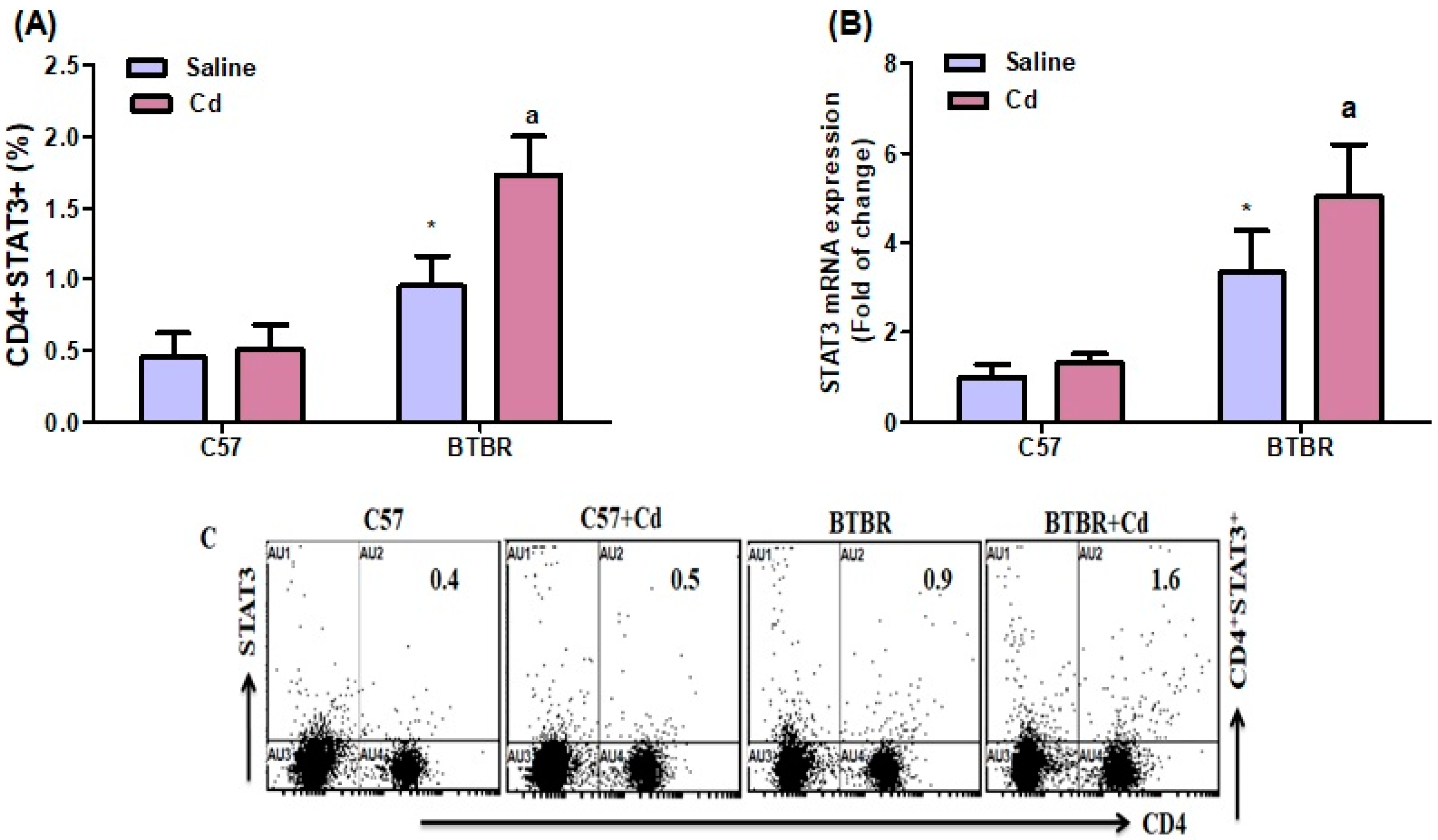 Ijms 24 06575 g005 Ijms 24 06575 g005