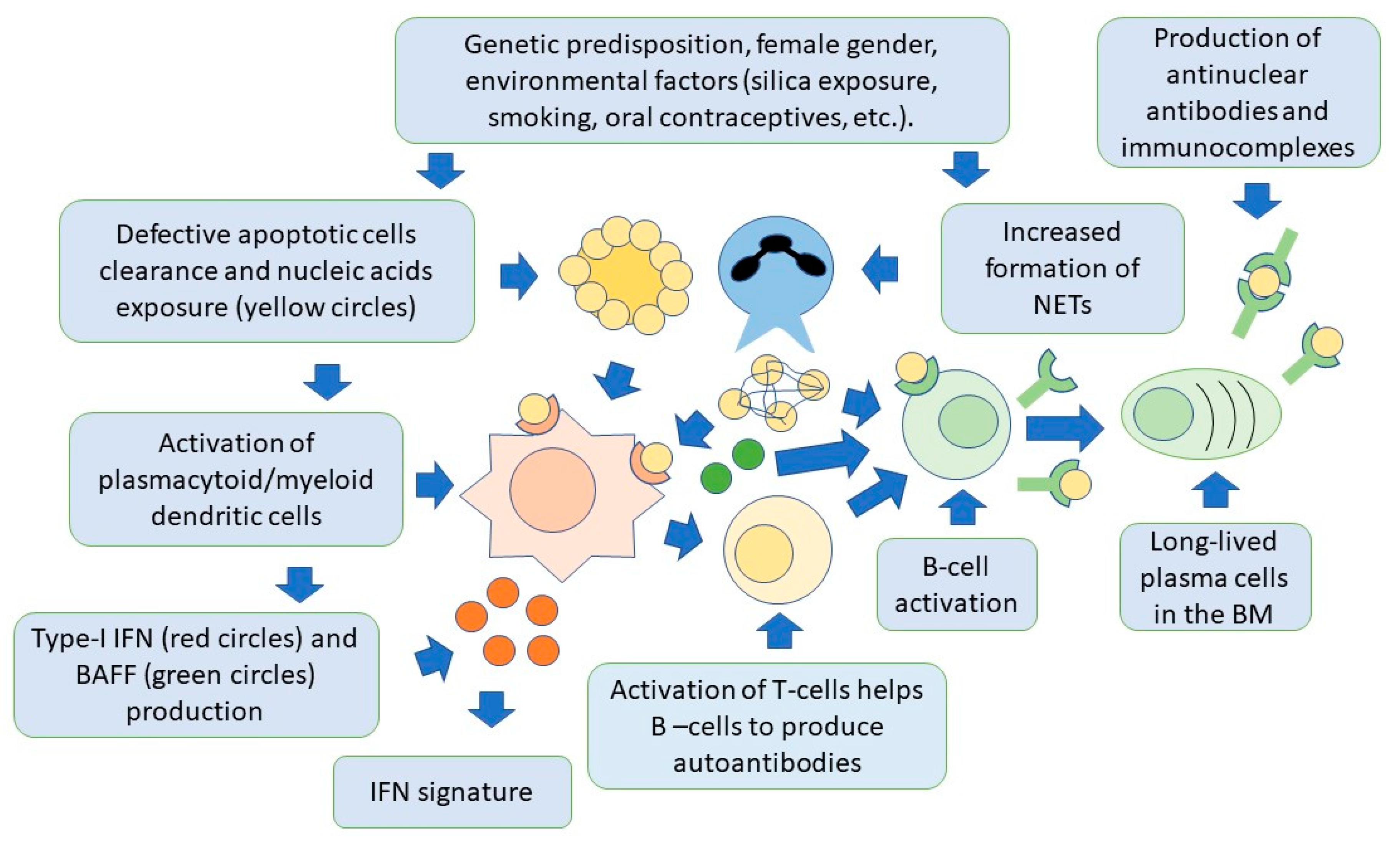 IJMS Free Full Text Advances in the Pathogenesis and Treatment